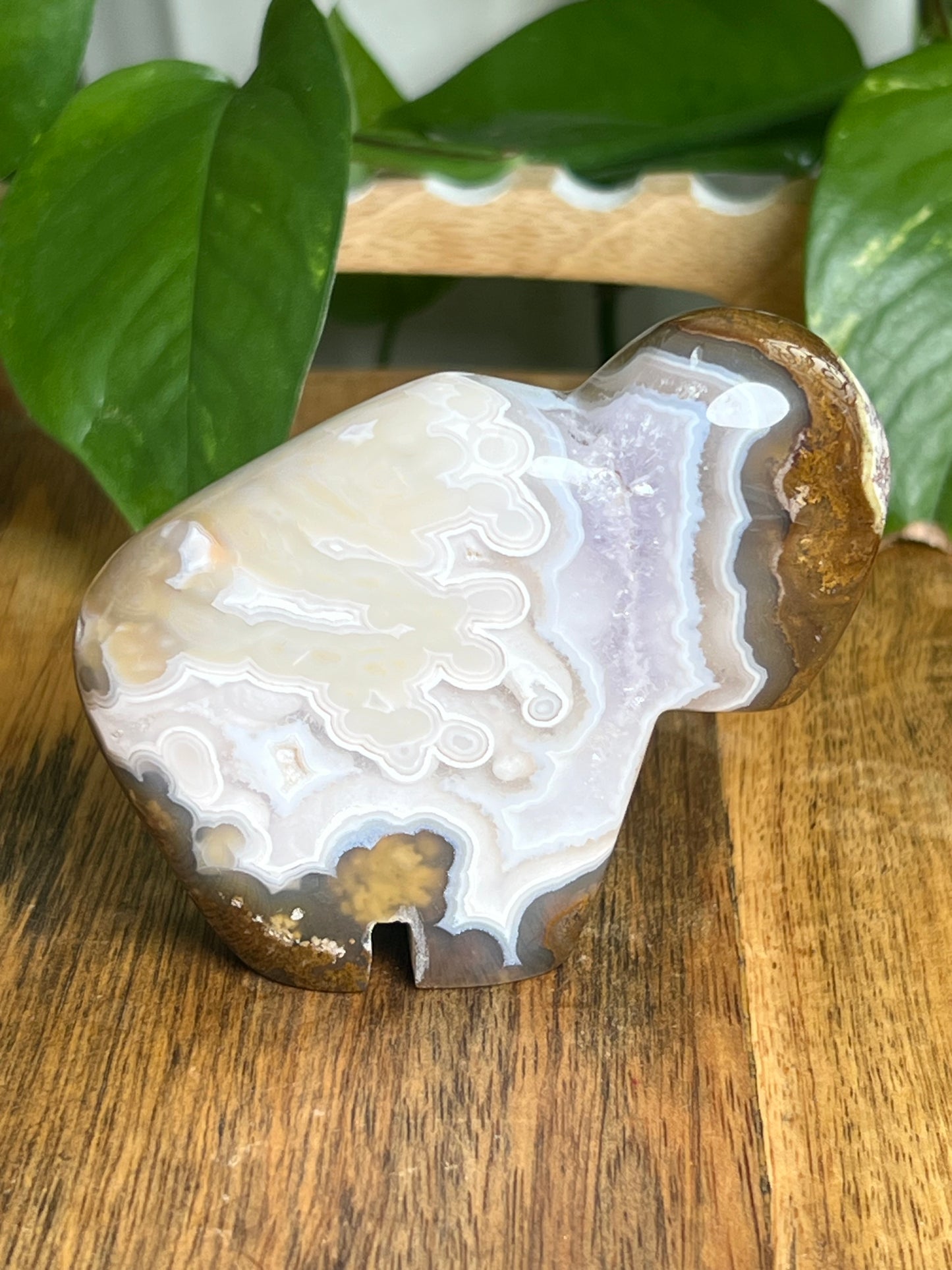Scenic Moss Agate Buffalo NY