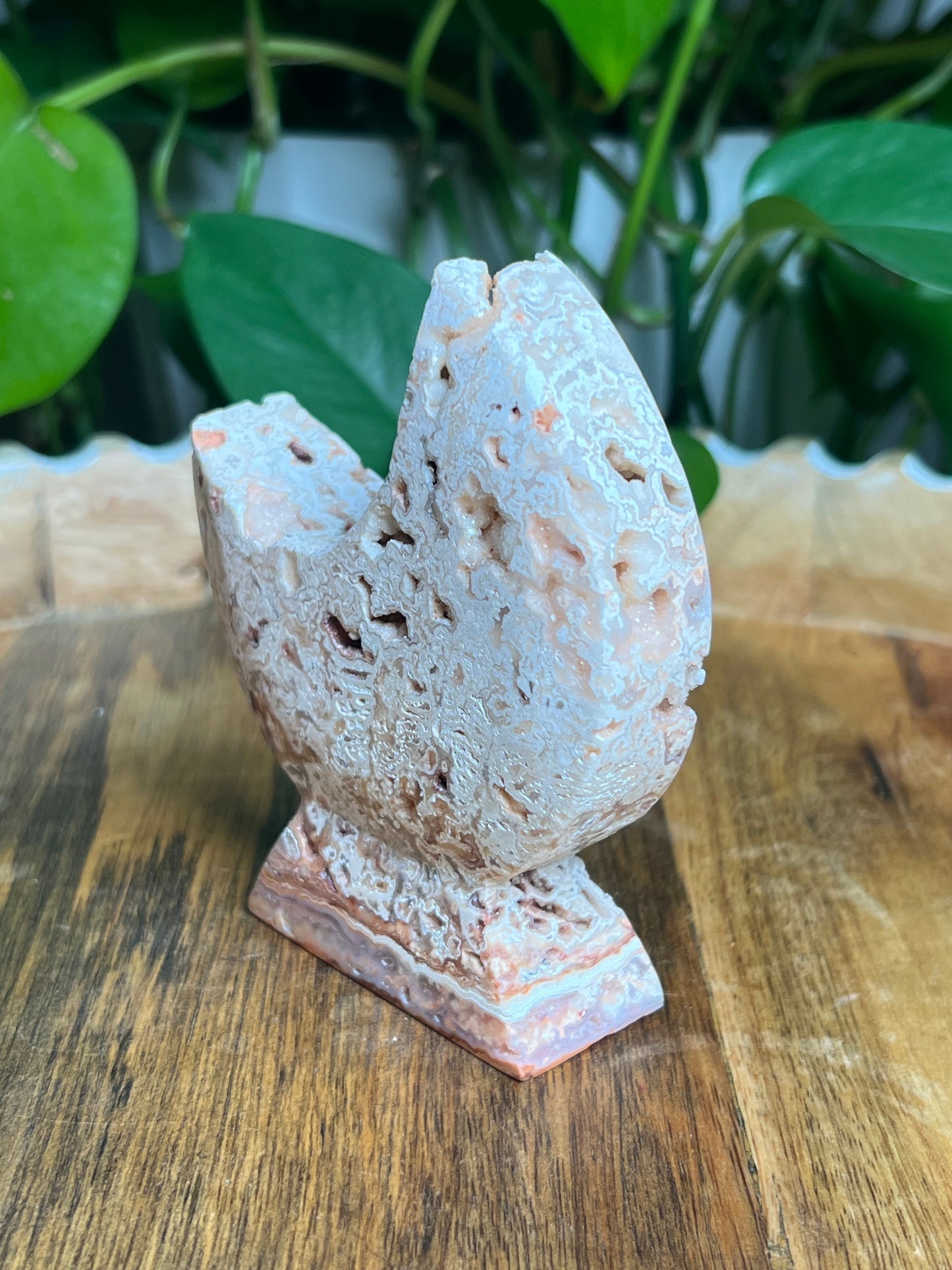 Crazy Lace Agate Self-Standing Moon: T
