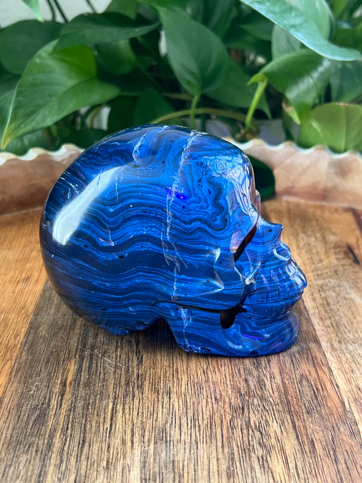 Blue Amber Skull: NX