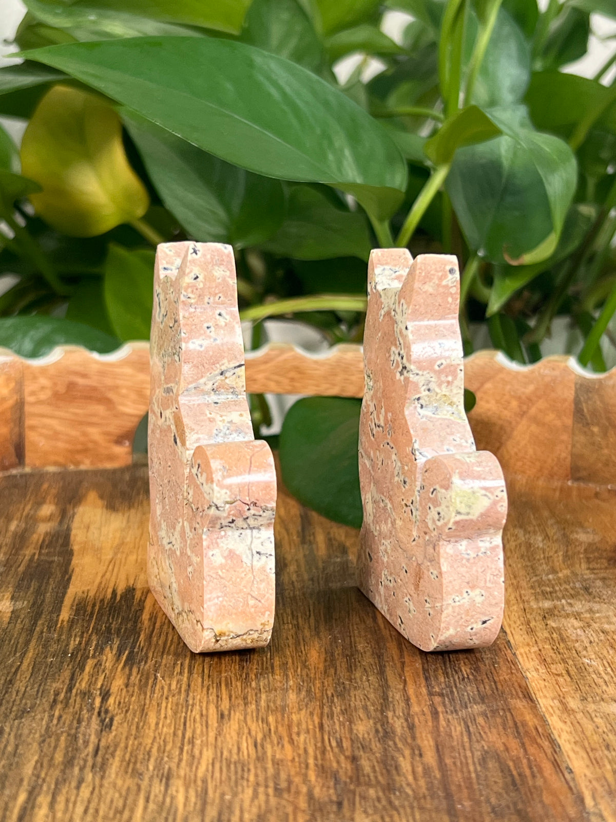 Peachy Pink Jasper Cats