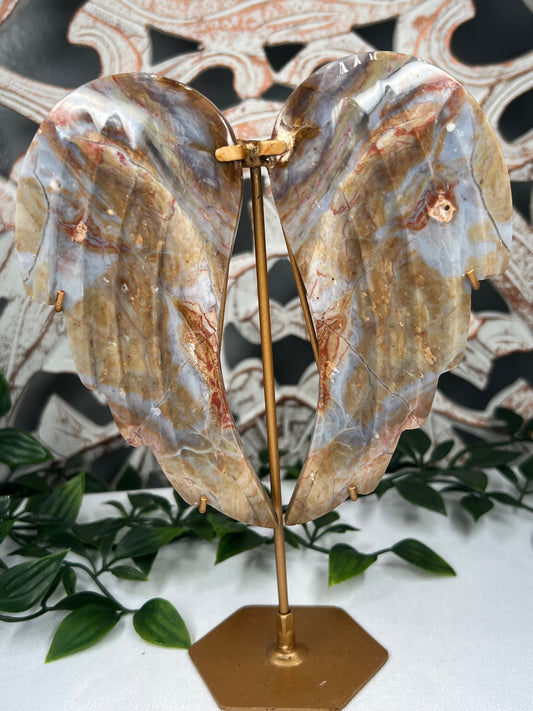 River Jasper Wings