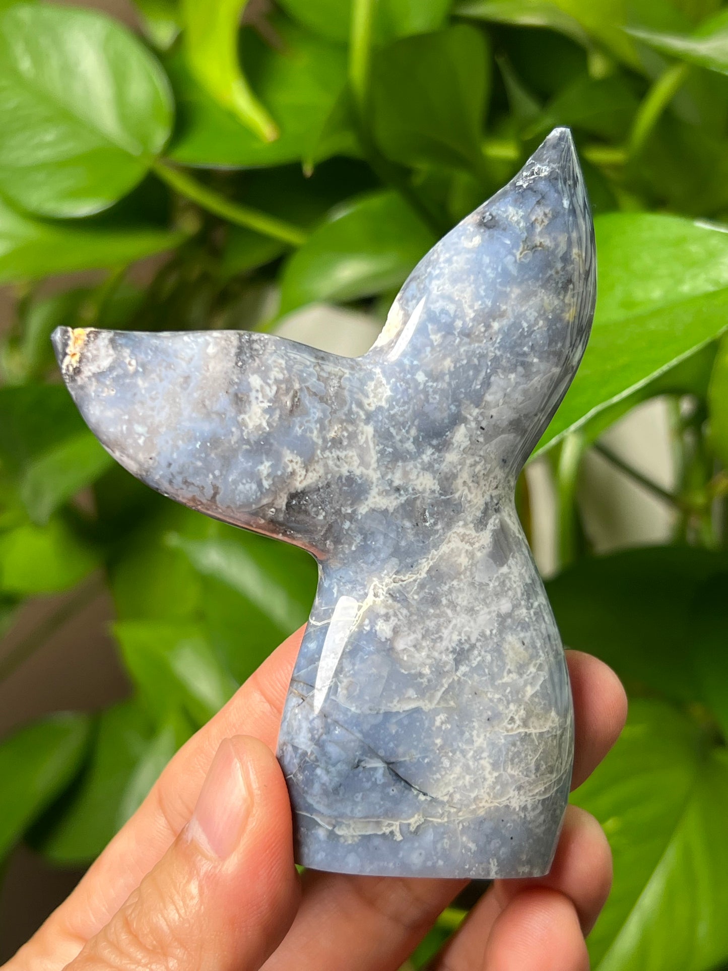 Blue Plume Agate Tail