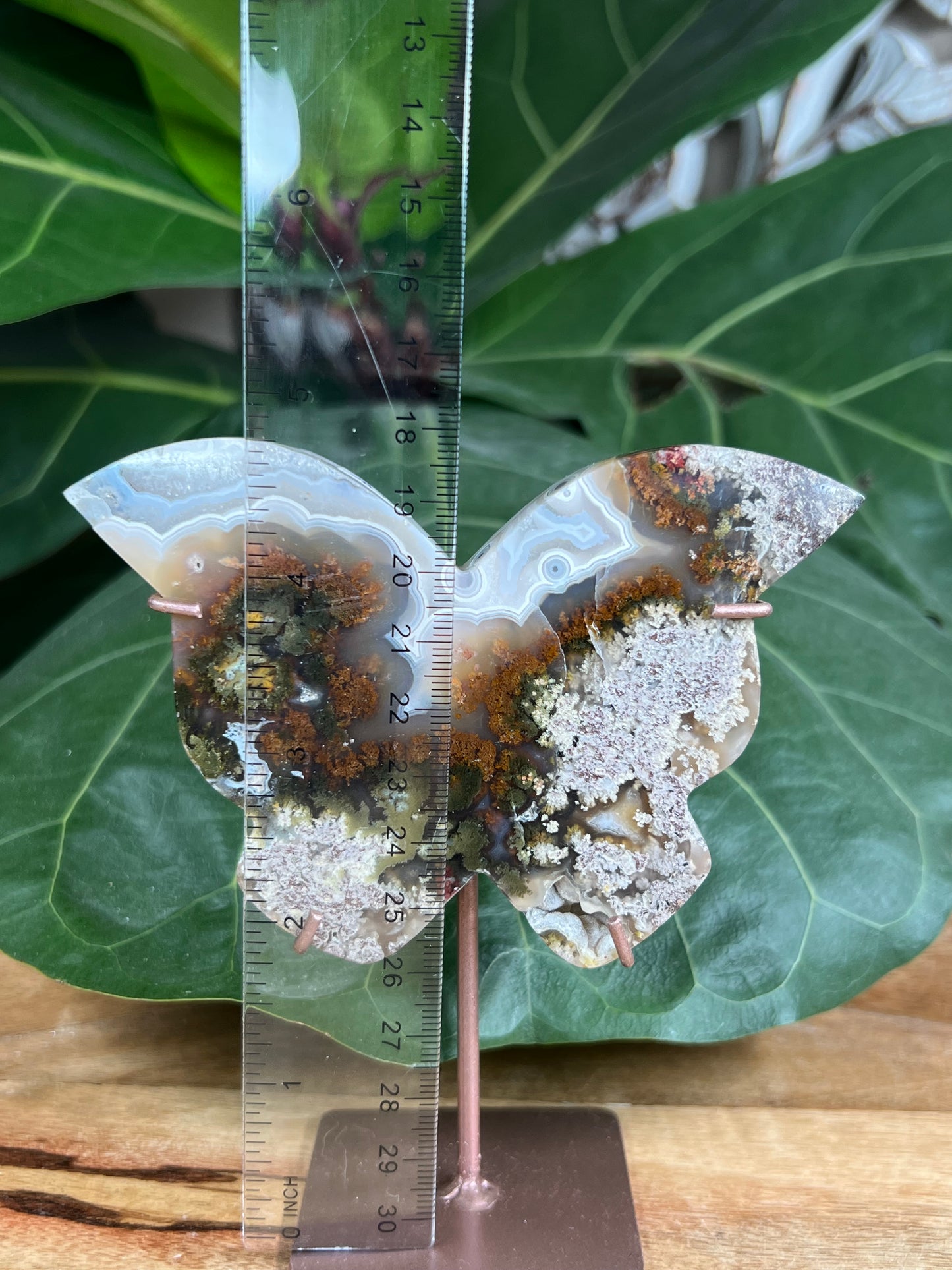 Scenic Moss Agate Butterfly