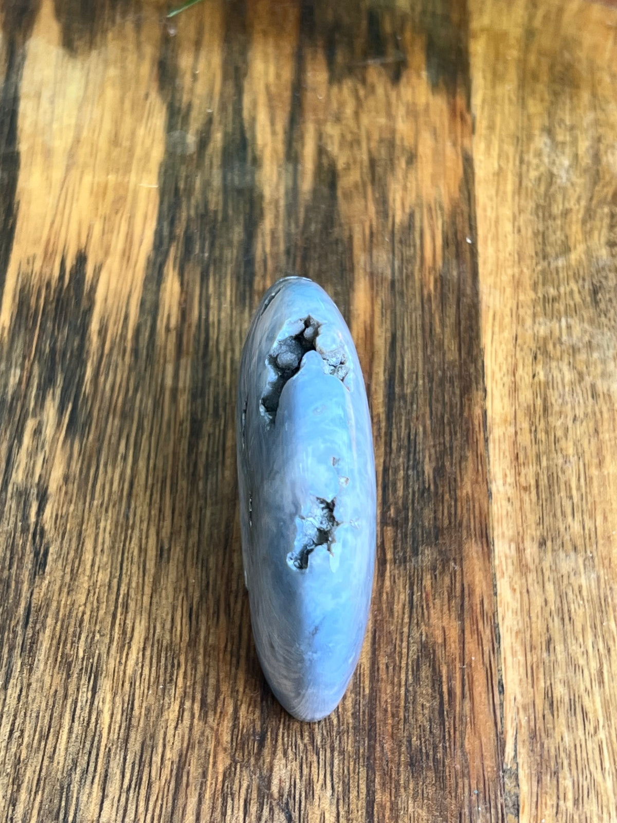 Blue Plume Agate Bear: DK