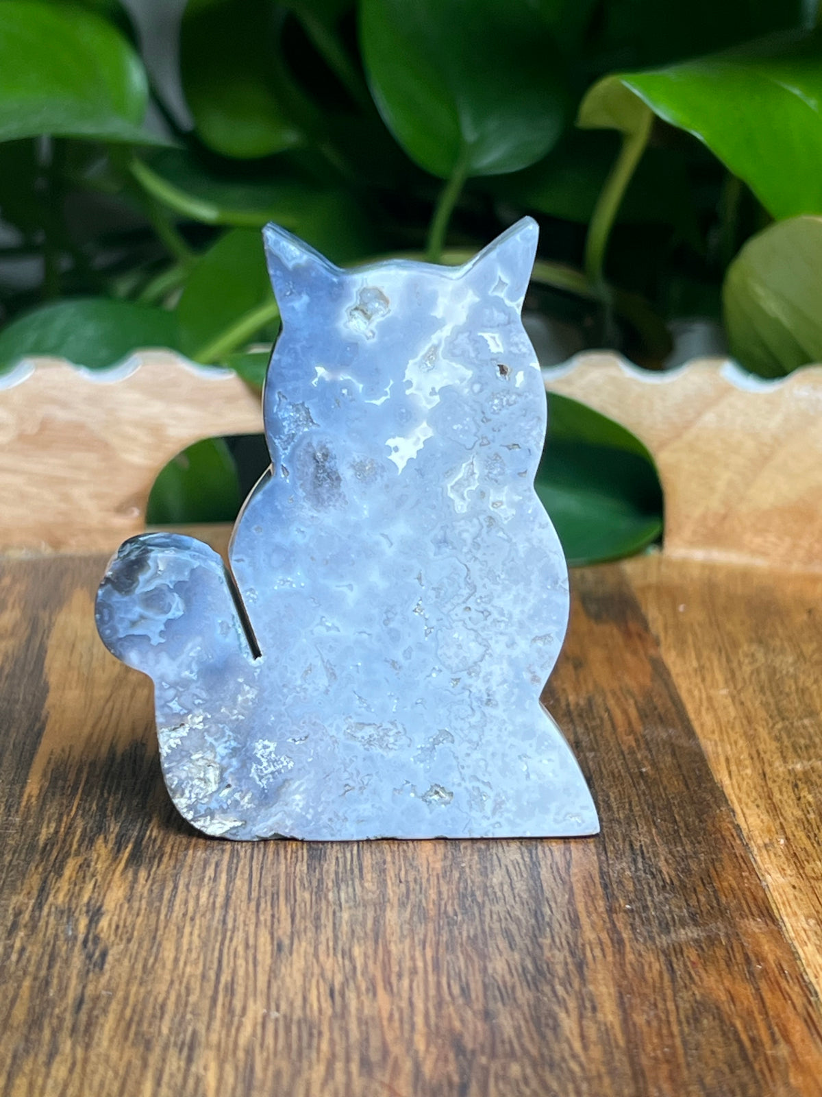 Blue Plume Agate Cat: BQ