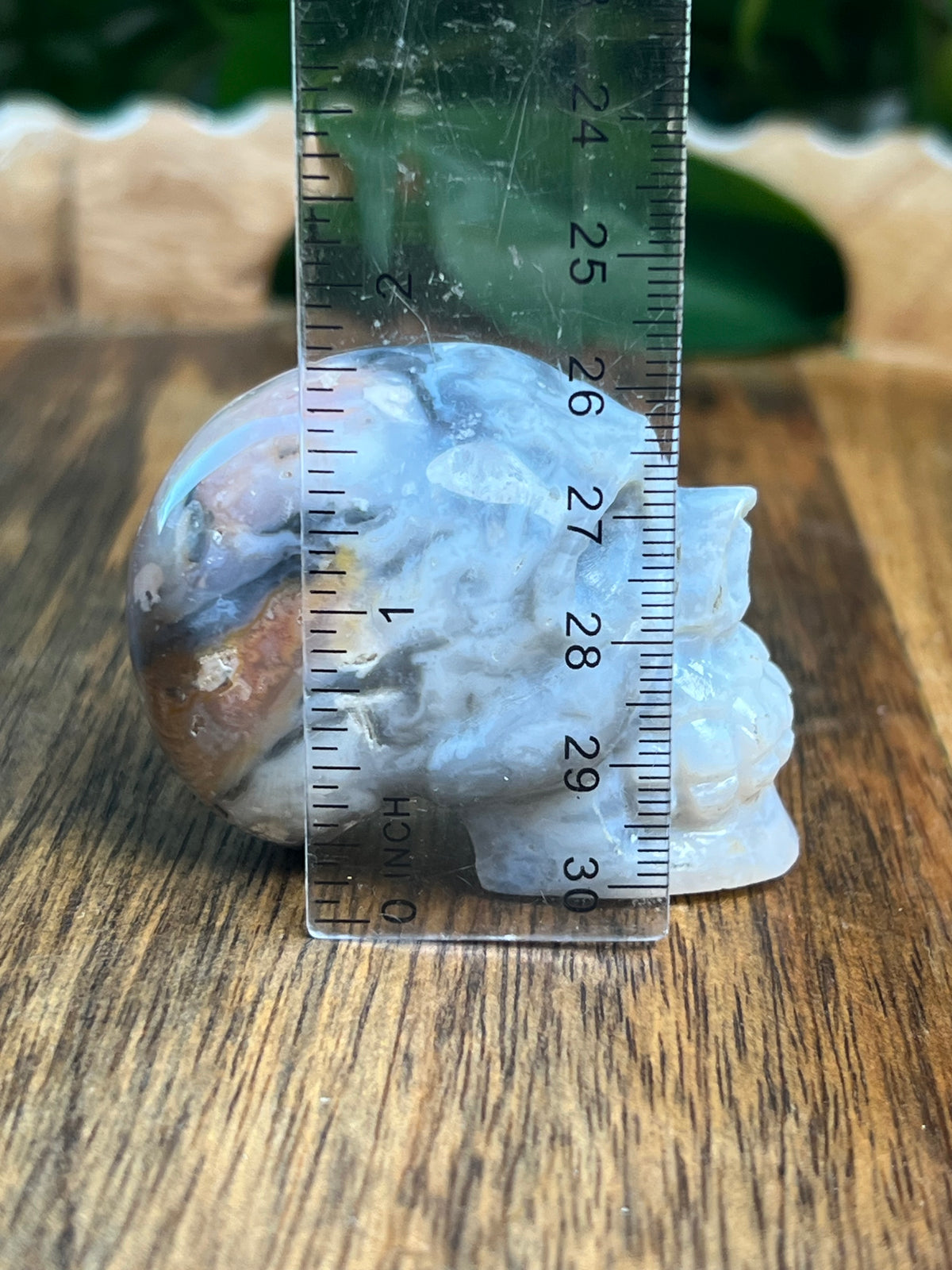 Rainbow Plume Agate Mini Skull: DA