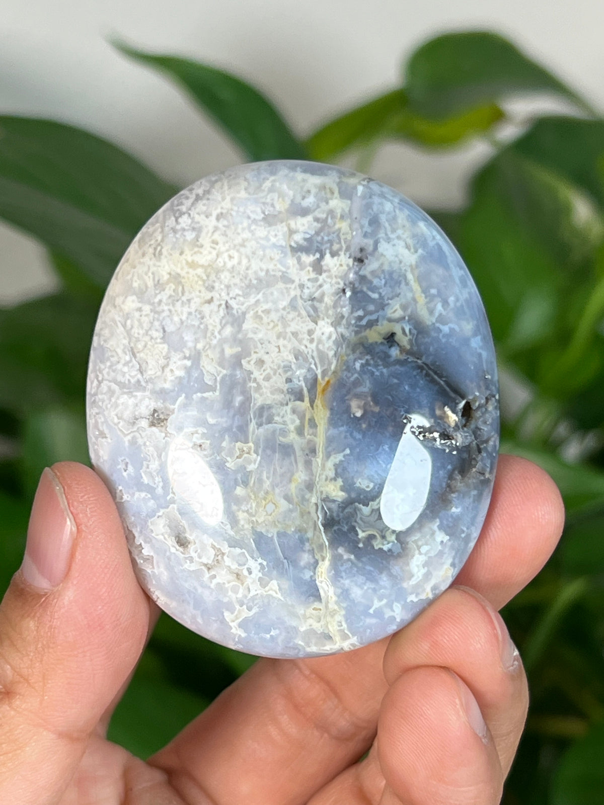 Blue Plume Agate Palmstones