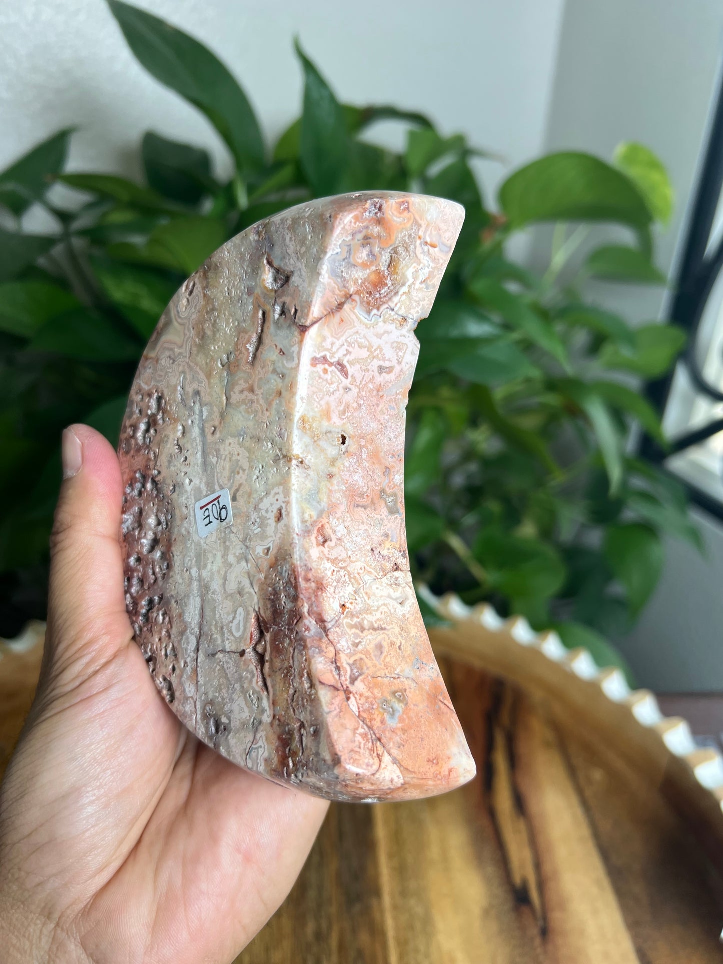 Crazy Lace Agate Moon Bowl: E