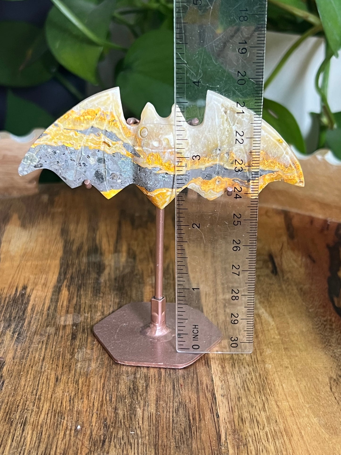 Bumblebee Jasper Bat