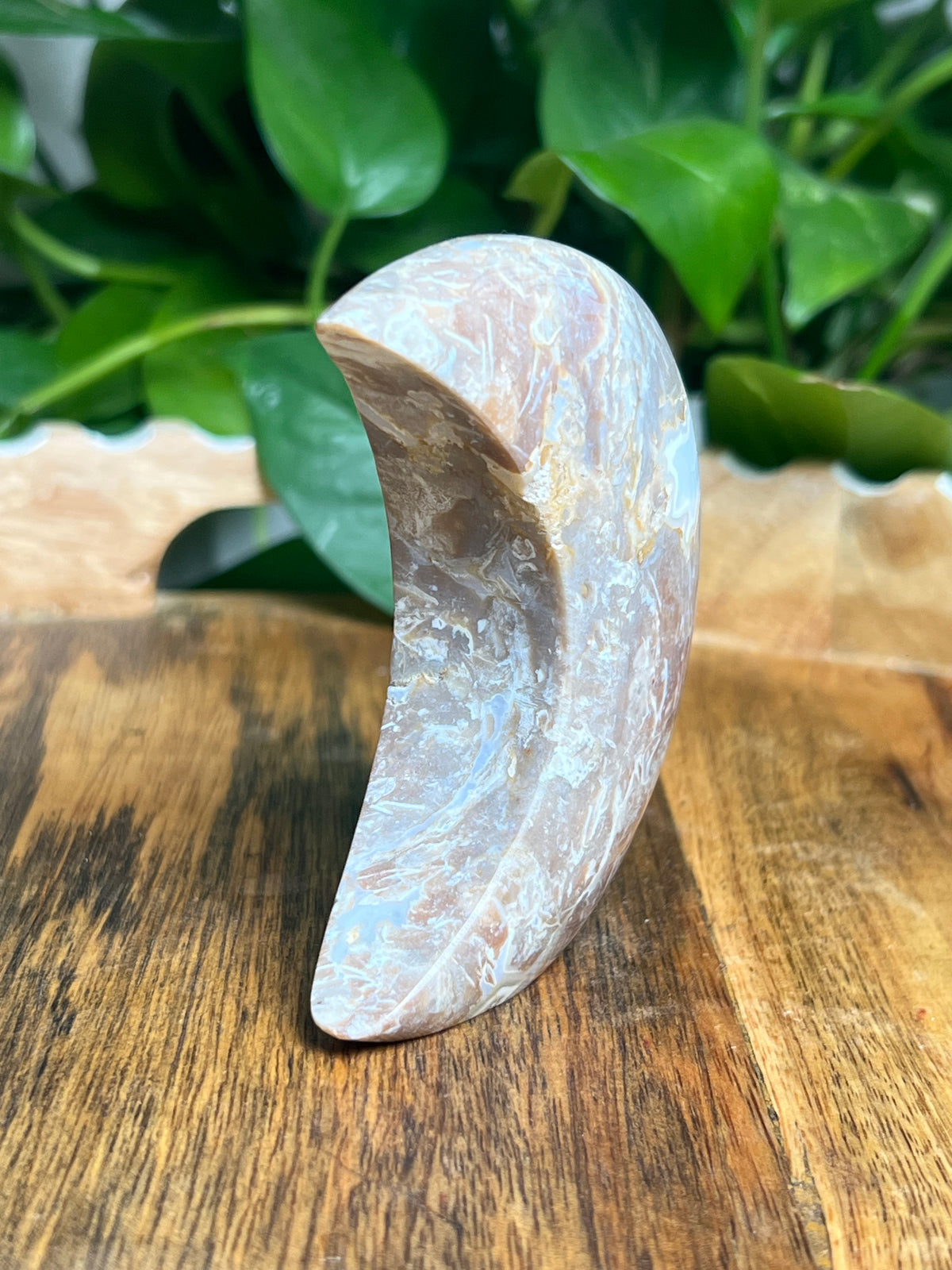 Sumatra Plume Agate Self-Standing Moon: NC