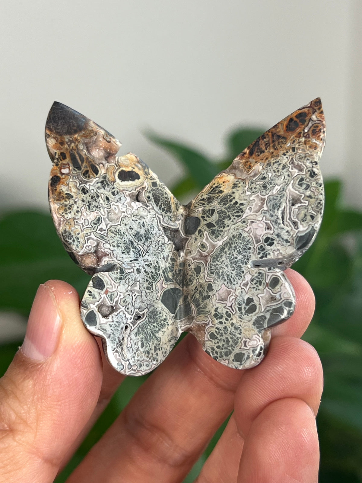 Marcasite 3D Butterflies
