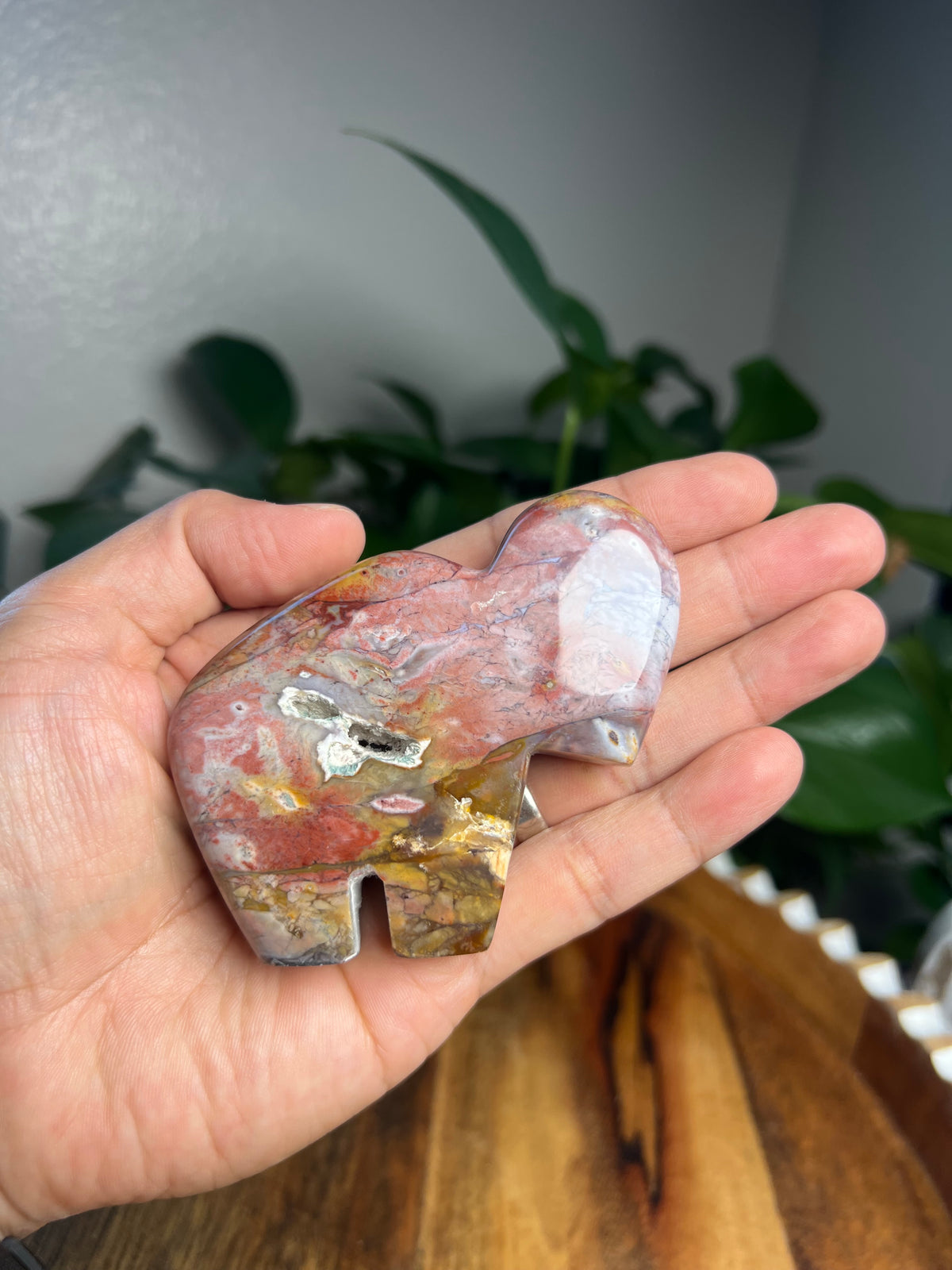 River Jasper Buffalo: RS