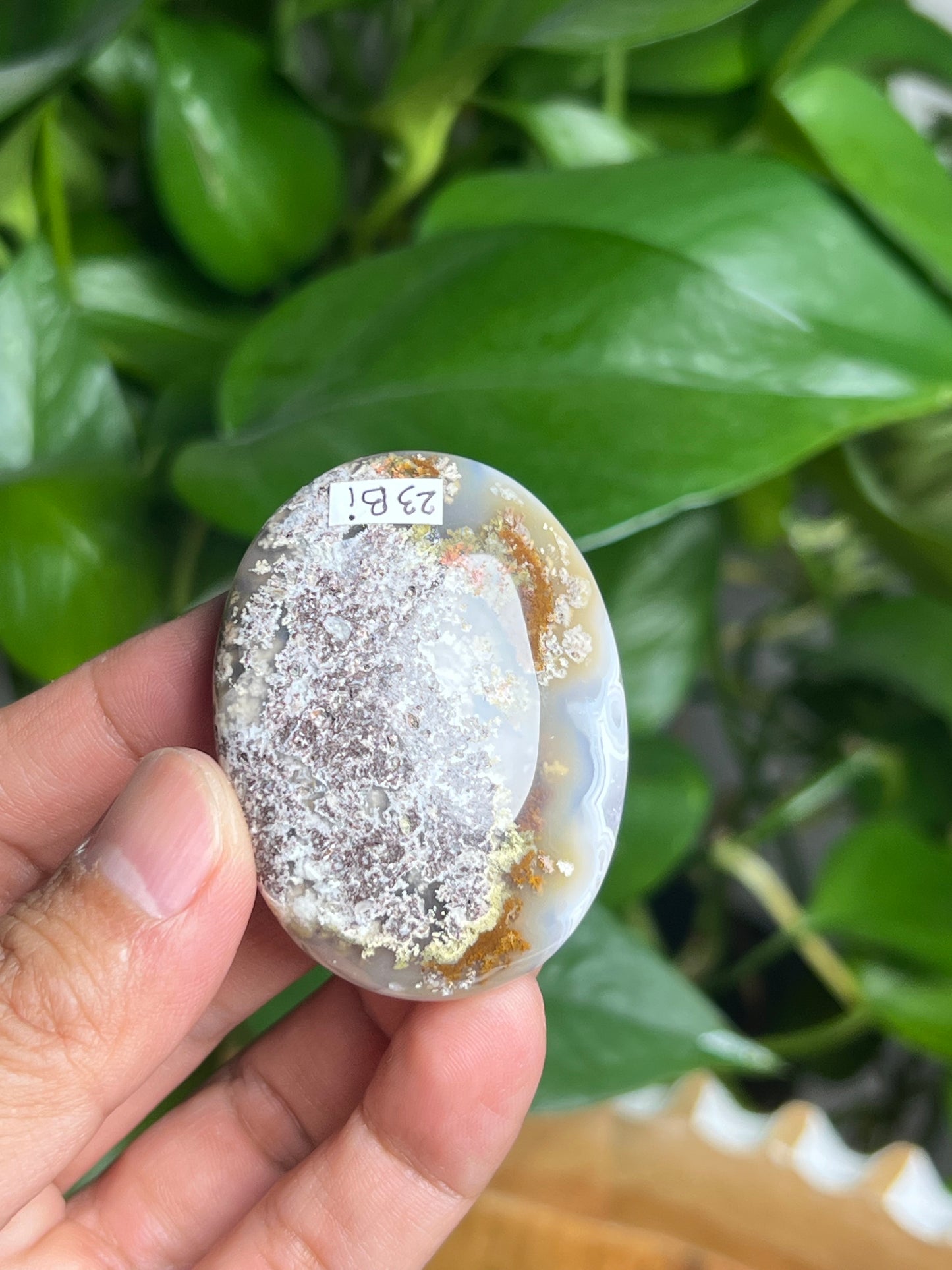 Scenic Moss Agate Palmstone: Bi