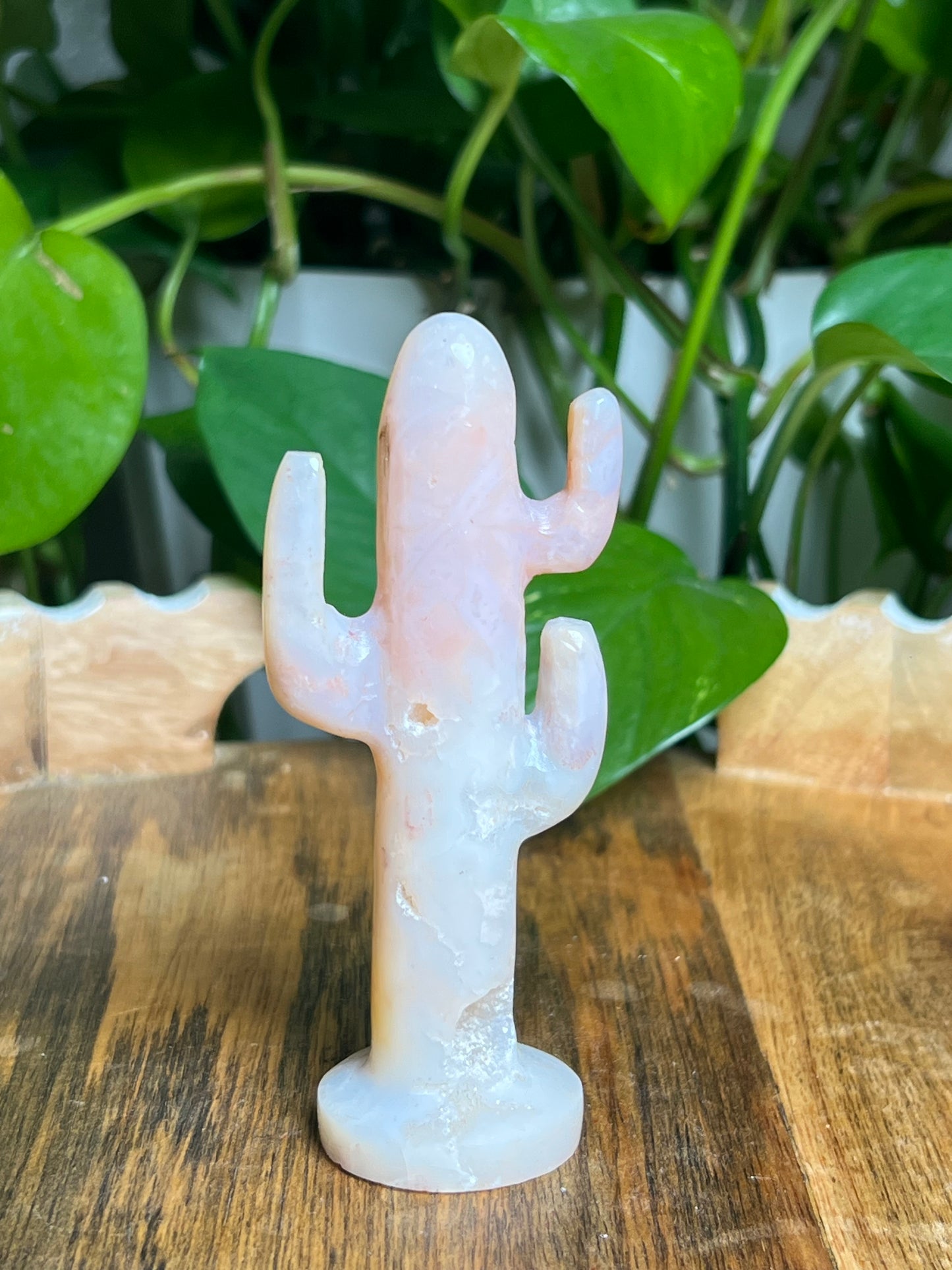 Pink Carnelian Cactus: BA