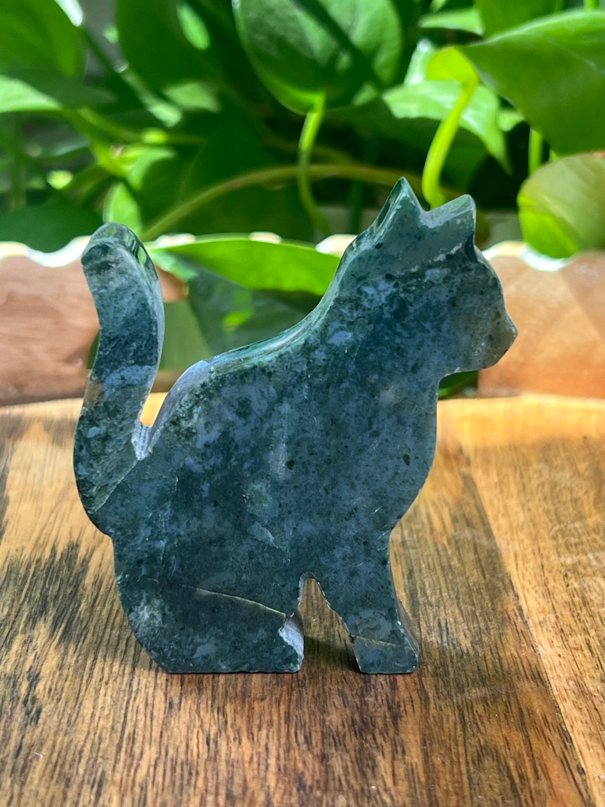 Blue Green Jasper Cat: CK