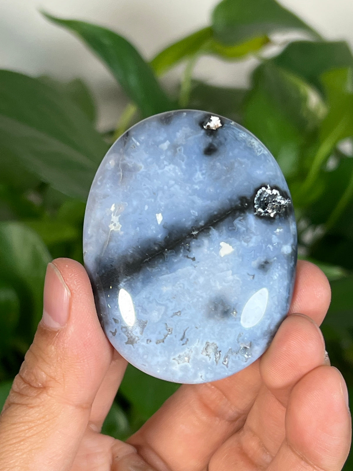 Blue Plume Agate Palmstones
