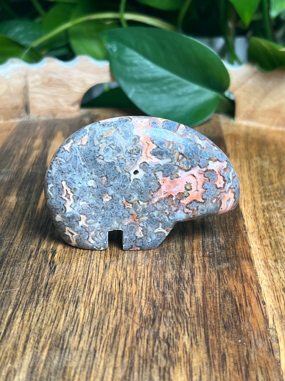 Marcasite Bear: TK