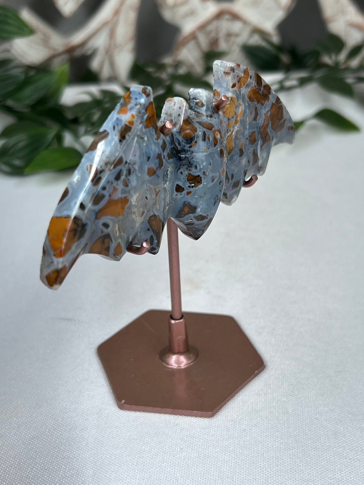 Indonesian Cotton Candy Bat