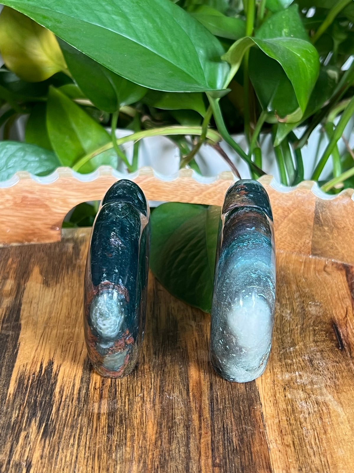Blue Green Jasper Buffalos