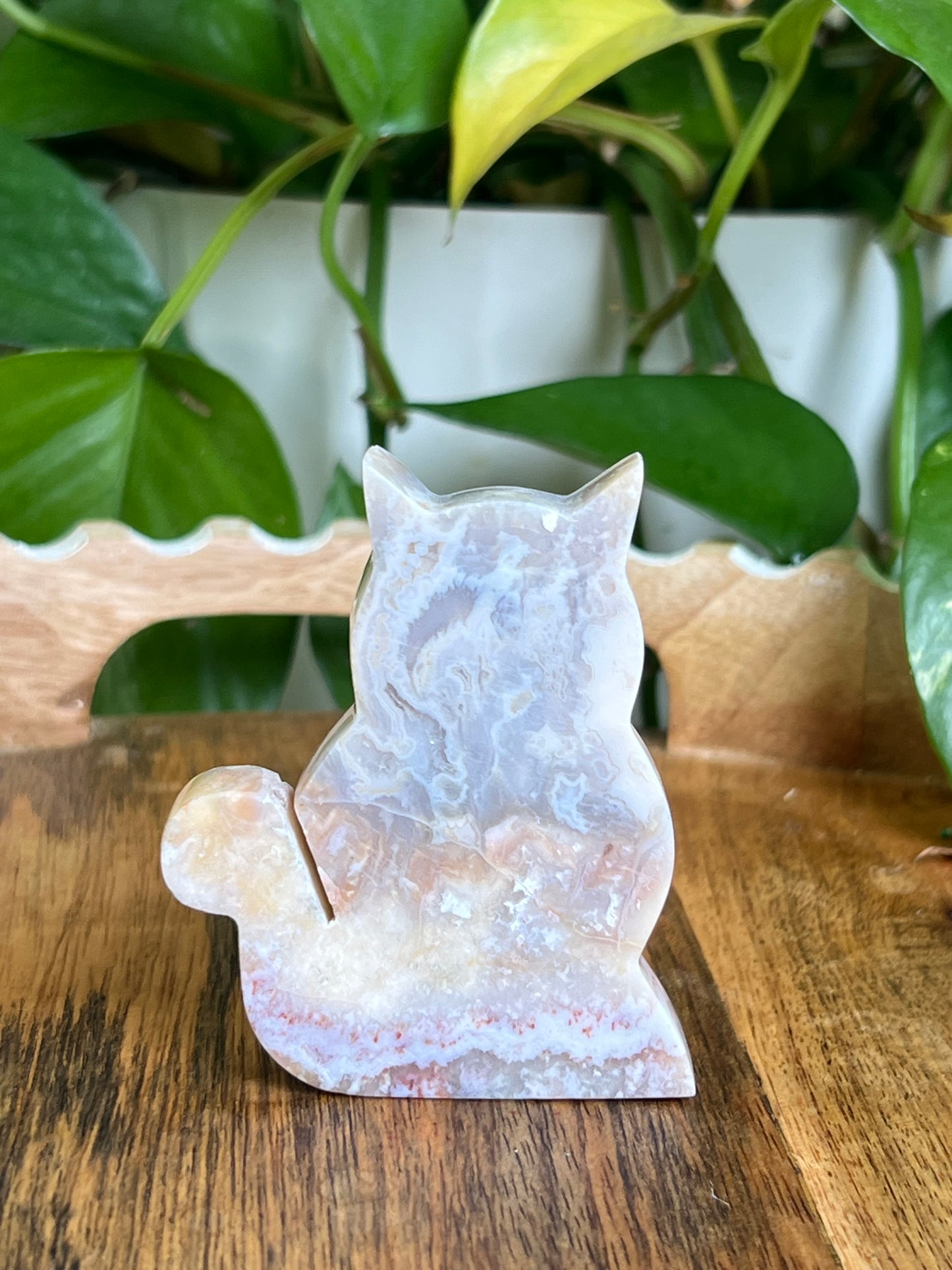 Sumatra Agate Cat EC