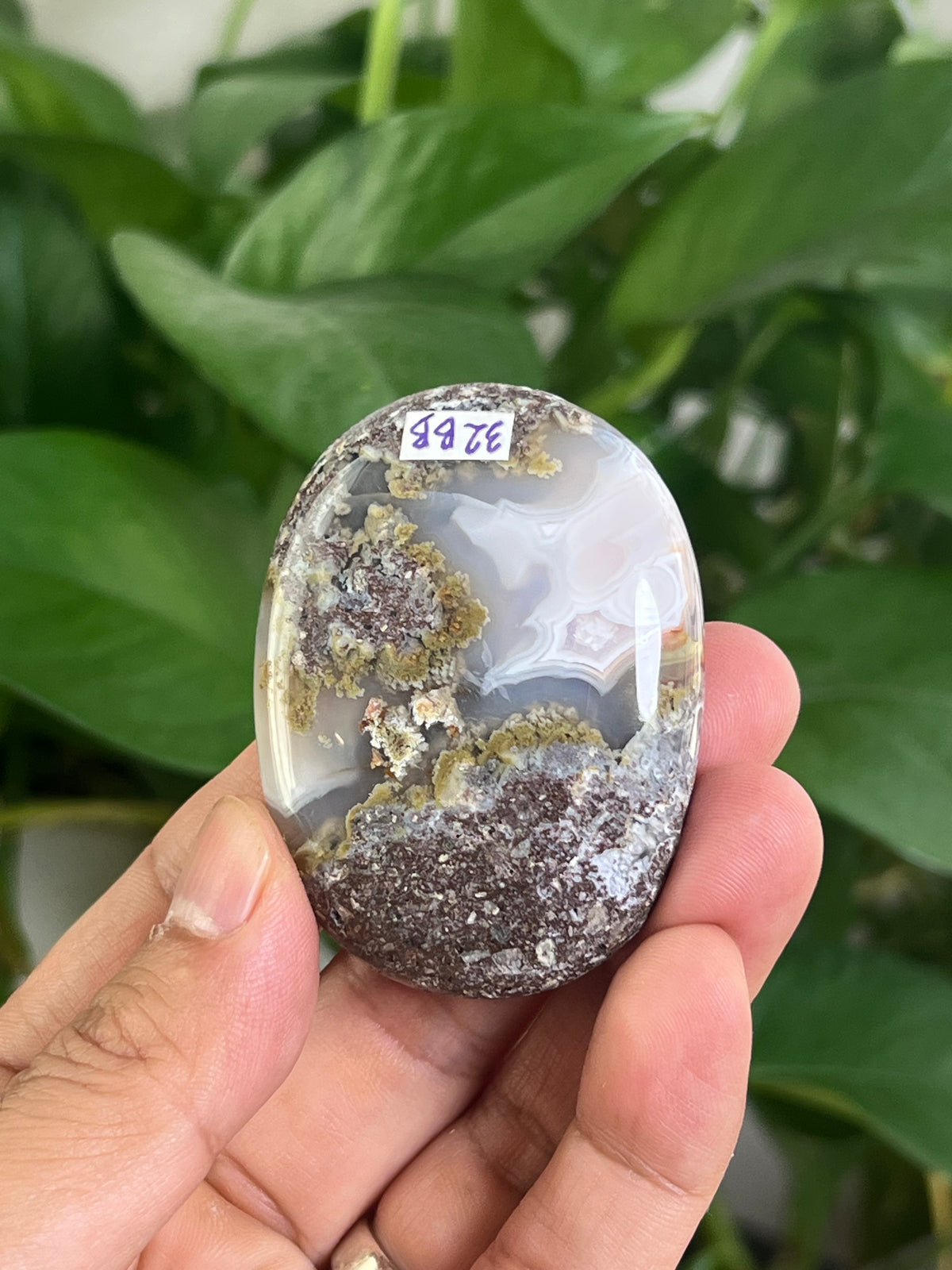 Scenic Moss Agate Palmstone: BB