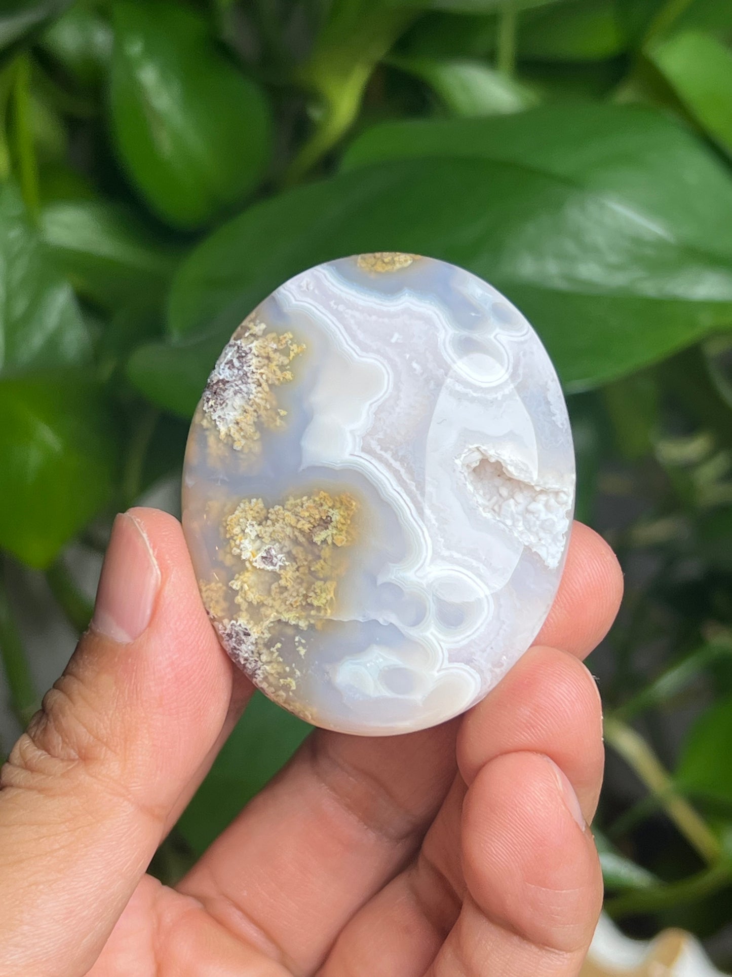 Scenic Moss Agate Palmstone: BL