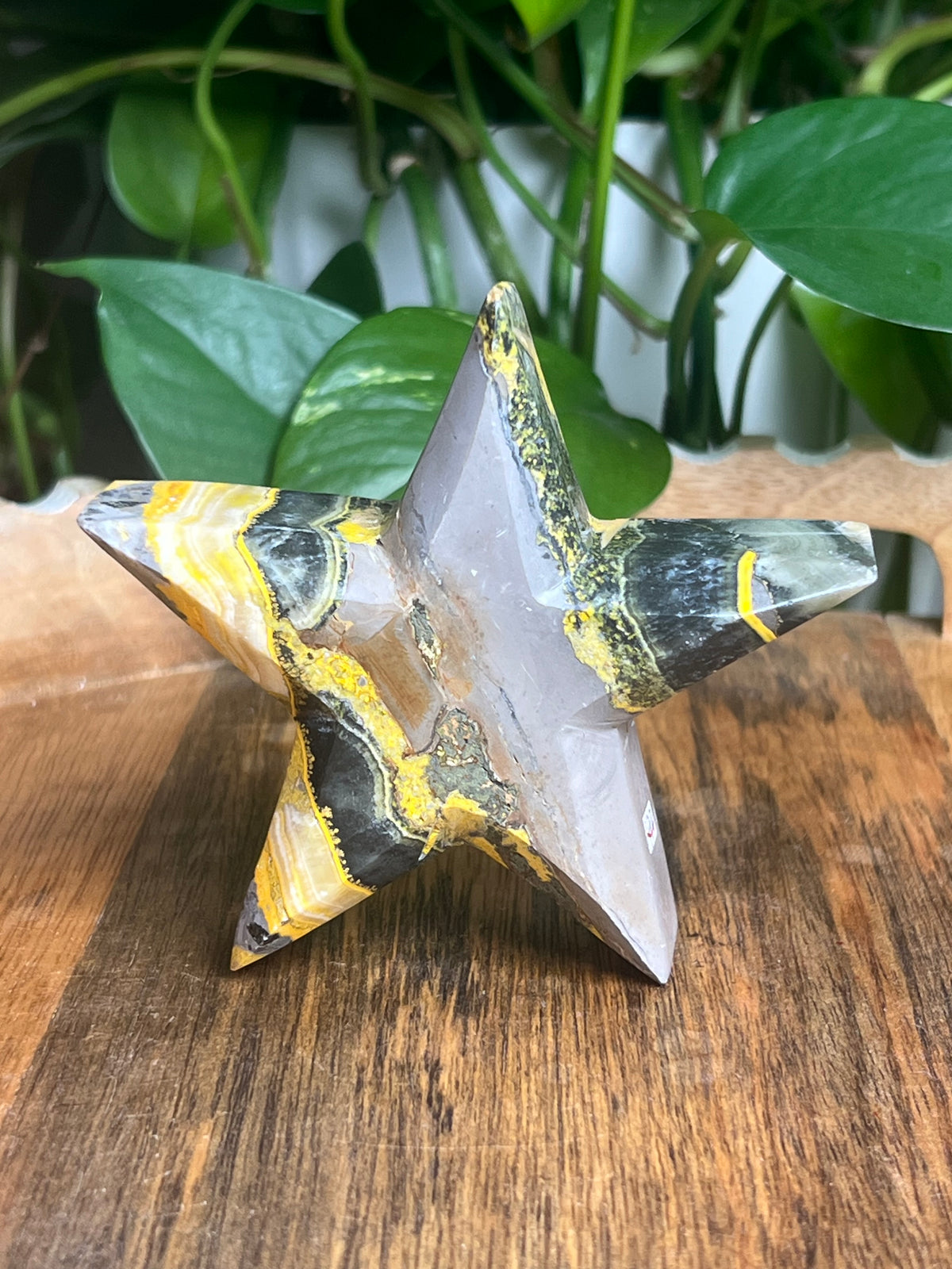 Bumblebee Jasper Star: D