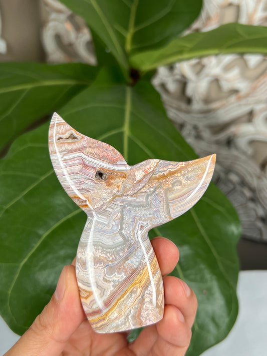 Crazy Lace Agate Tail