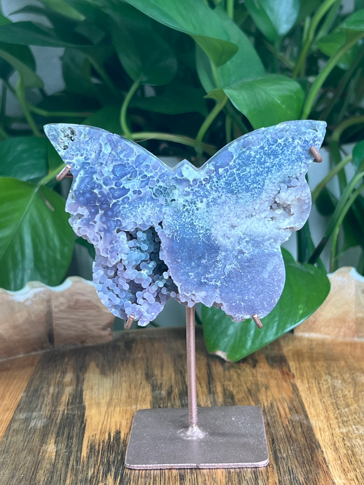Grape Agate Butterfly: AD