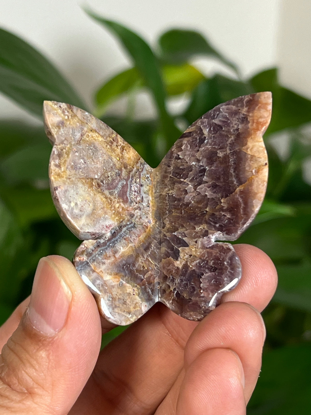 Indonesian Amethyst 3D Butterflies