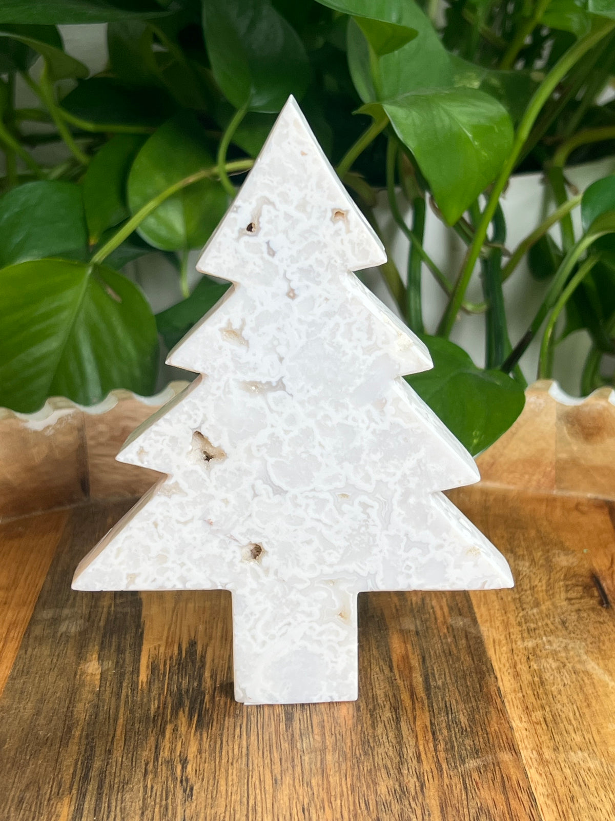 White Plume Agate Tree: PS