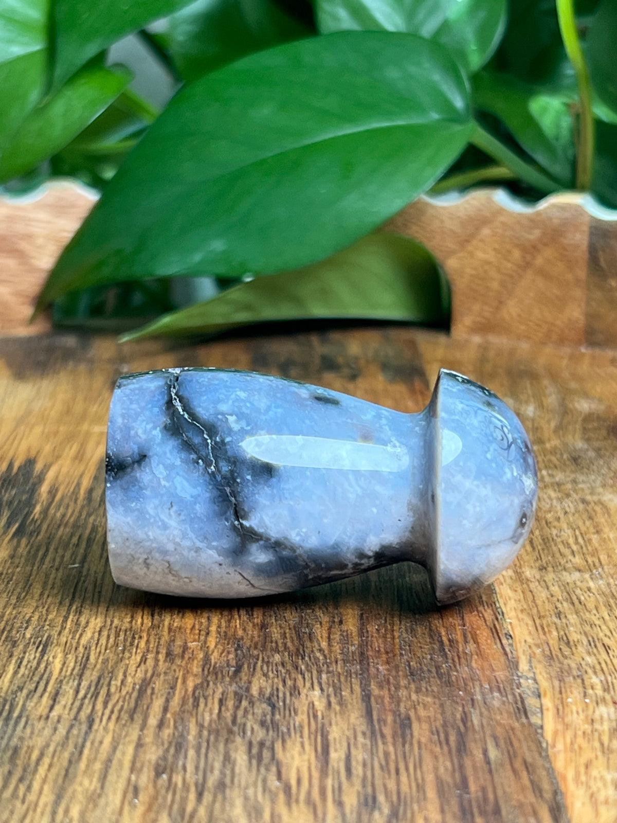Blue Plume Agate Mushroom: EK