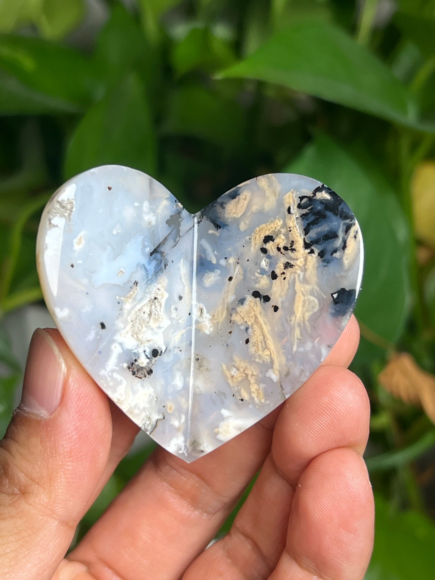 Dendritic Tiger Agate 3D Butterfly HA