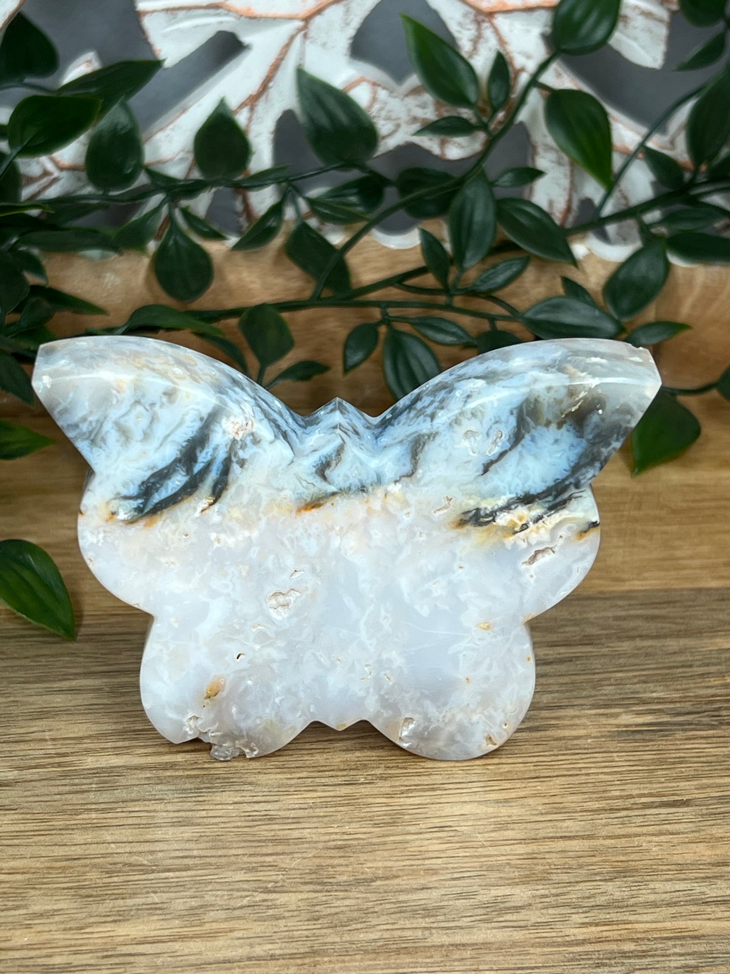 Rainbow Plume Agate Butterfly