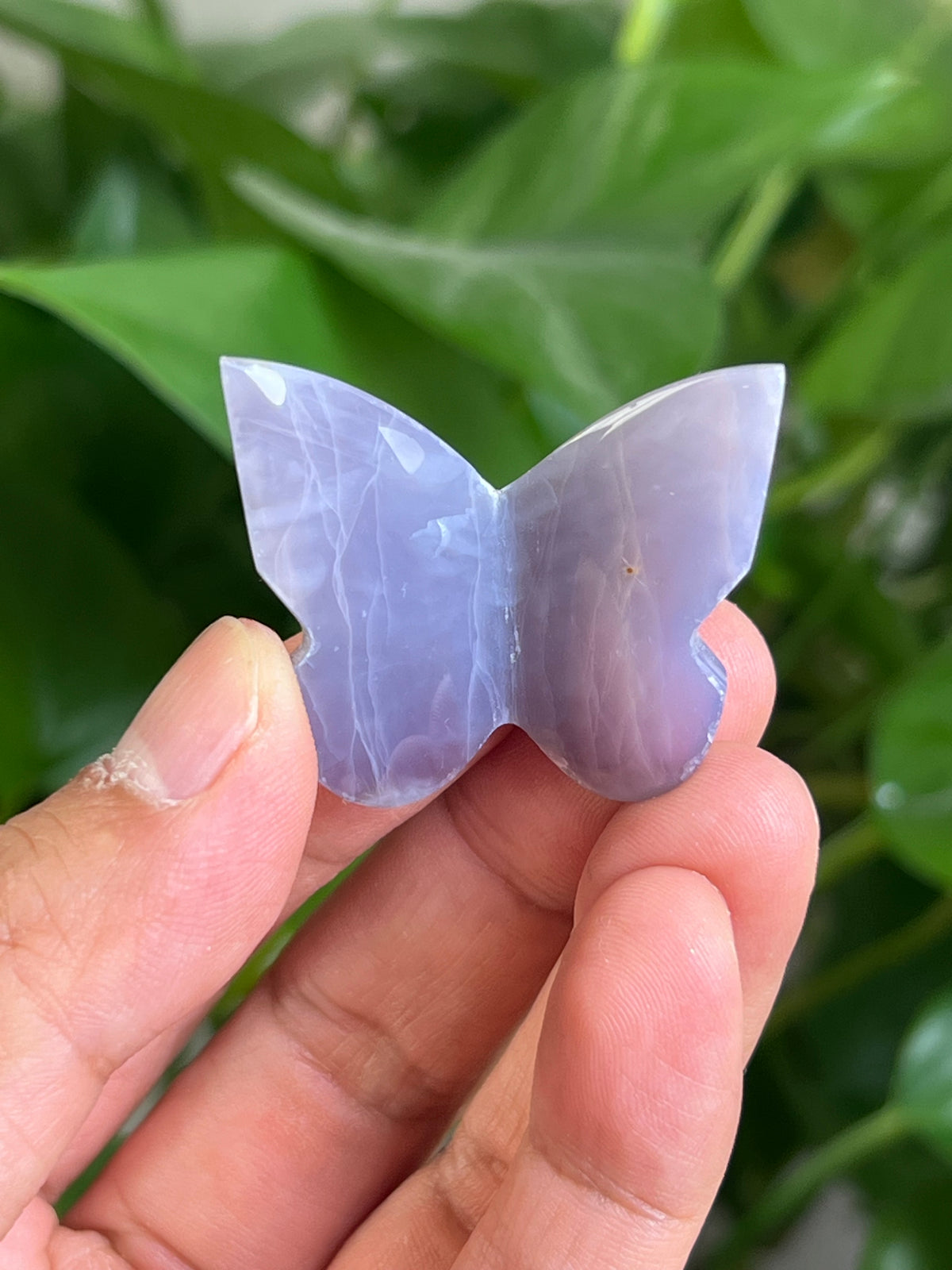 Purple Chalcedony 3D Mini Butterfly: VF
