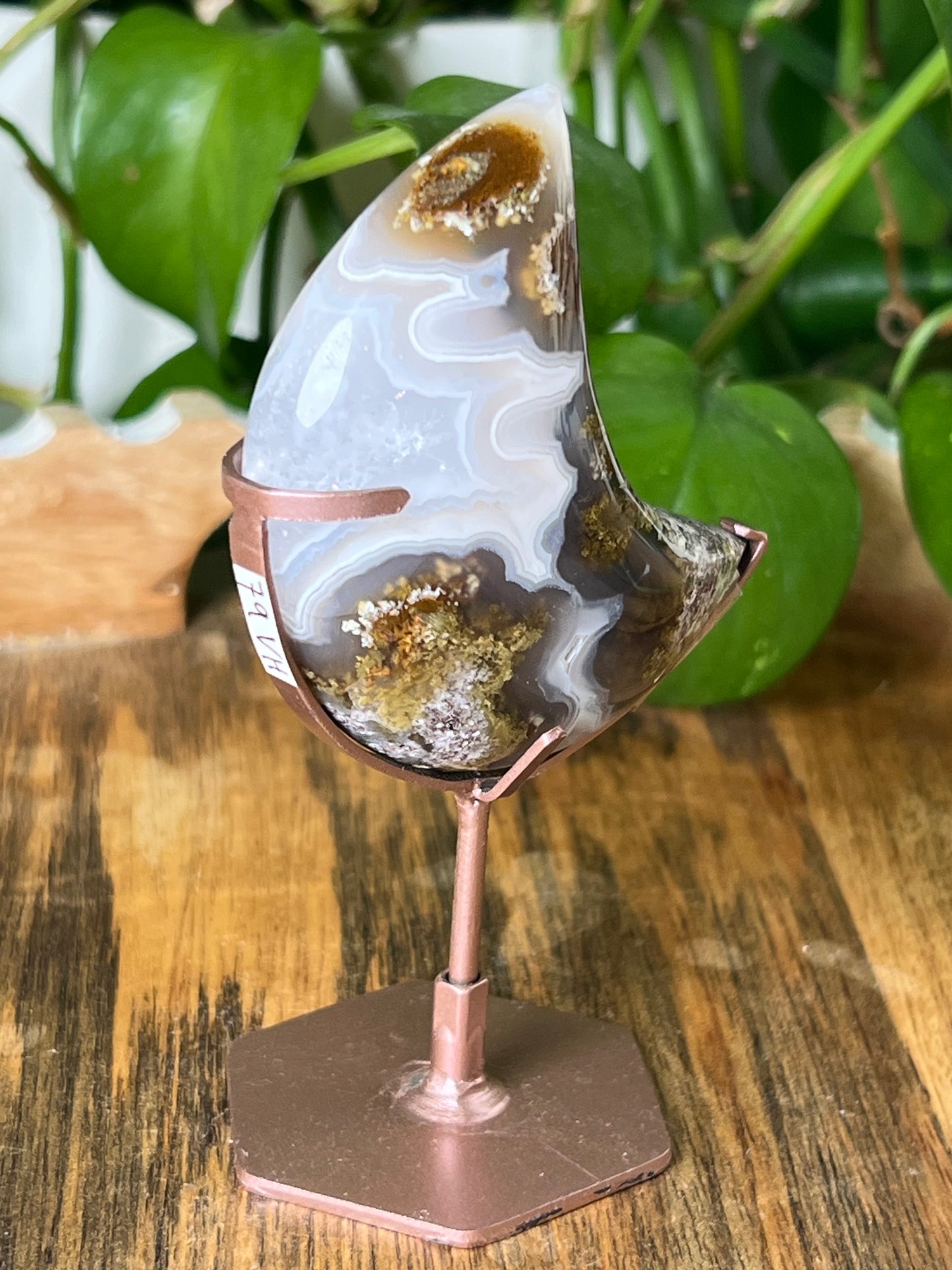 Scenic Moss Agate Moon