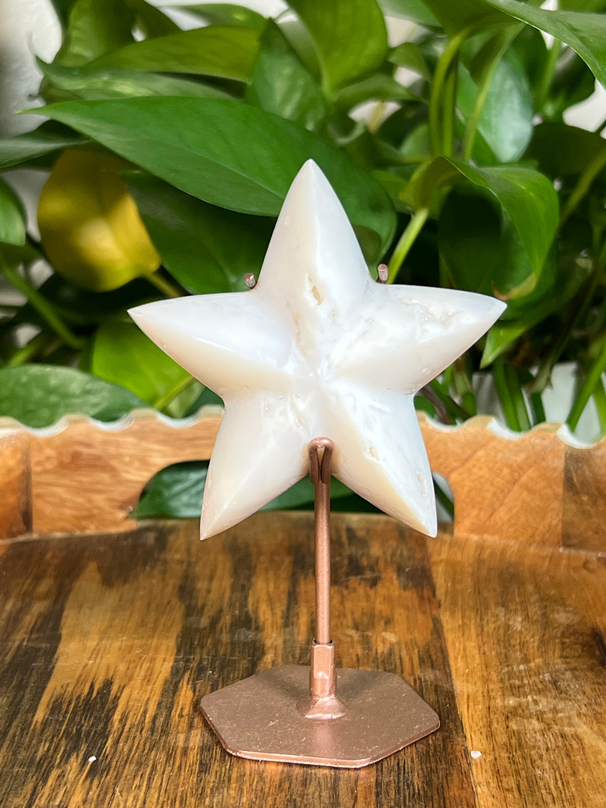 White Plume Agate Stars
