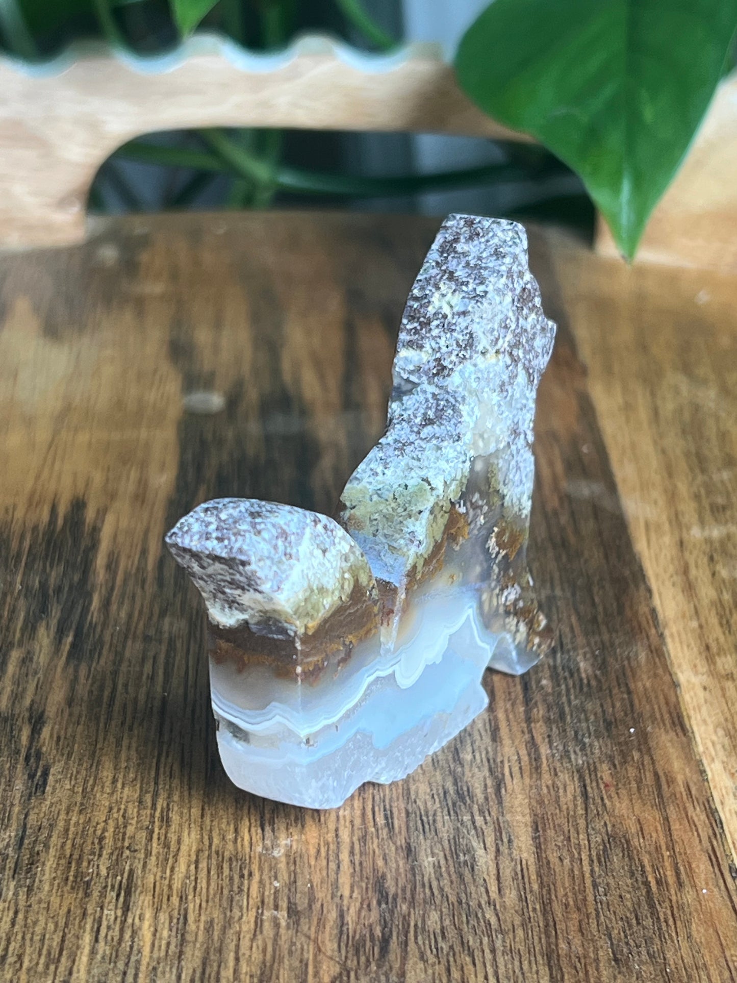 Scenic Moss Agate Fox PV