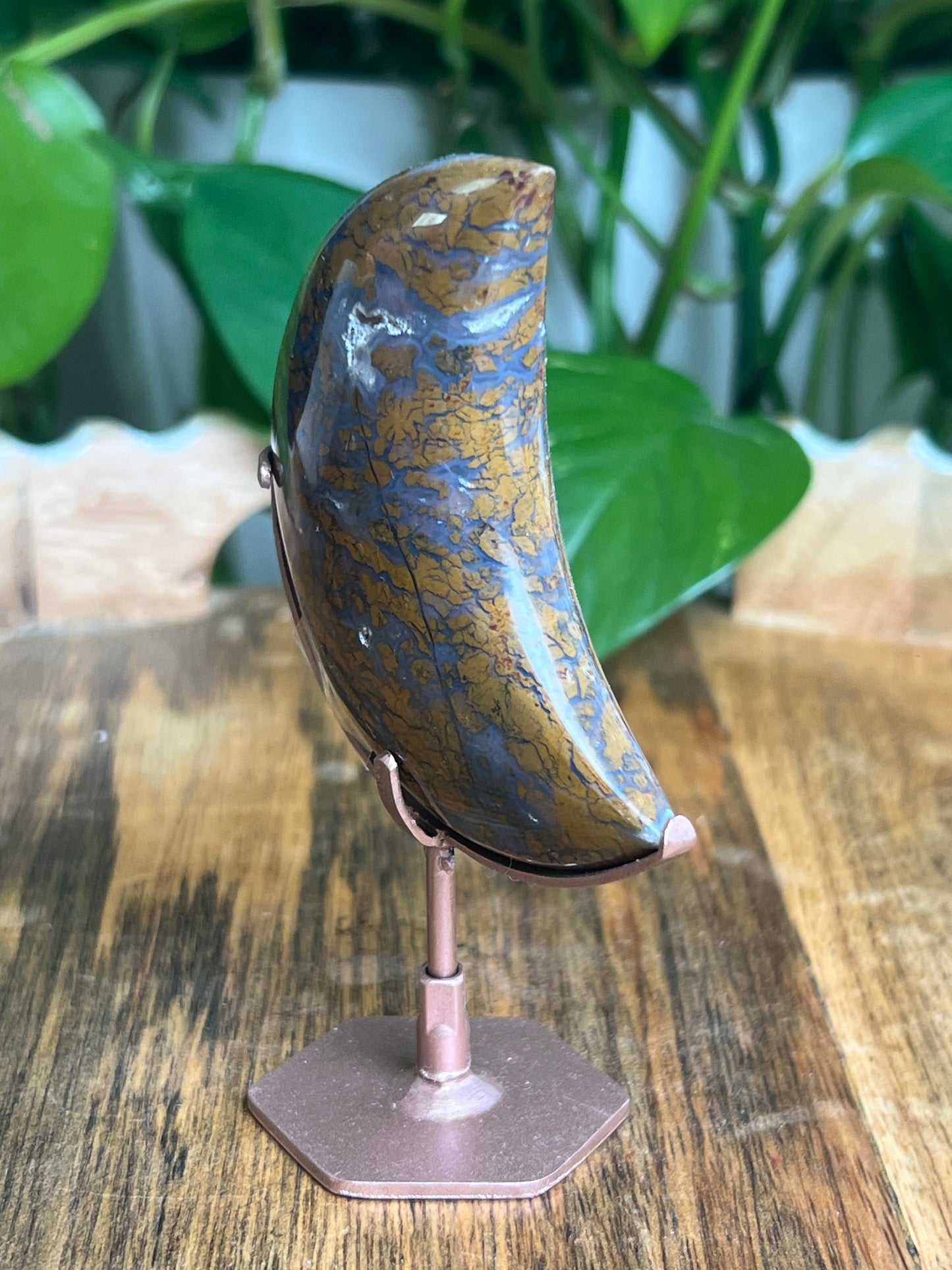 Brecciated Jasper Moon: BX
