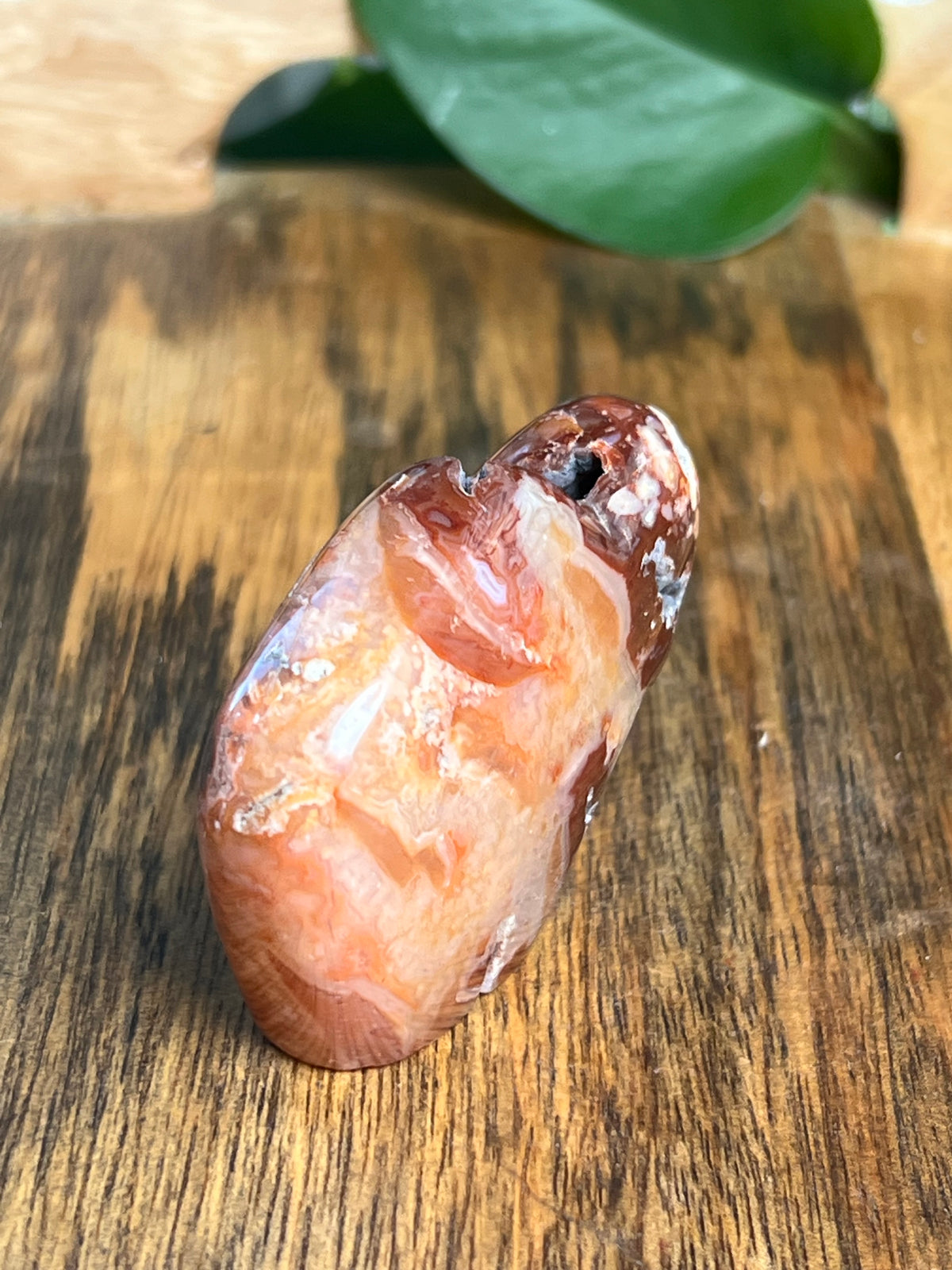 Carnelian Mini Buffalo: BH