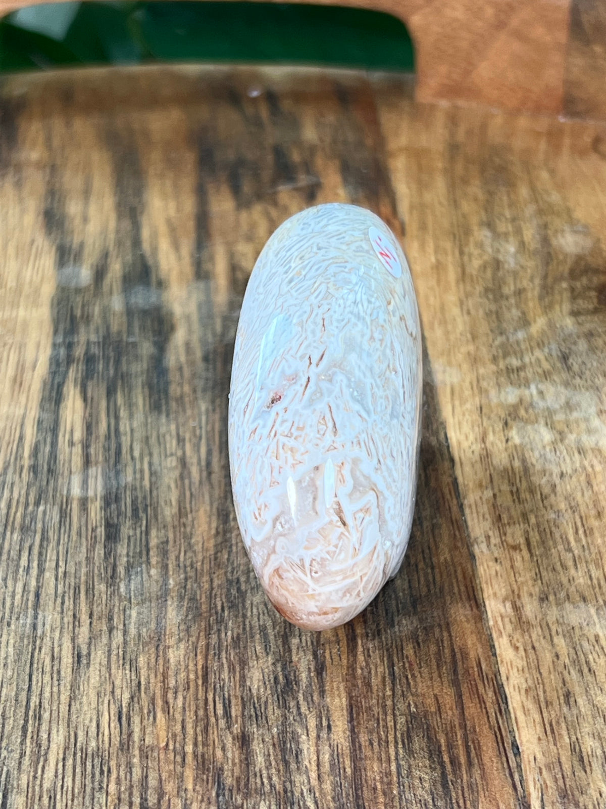 Tube Agate Bear: Ni