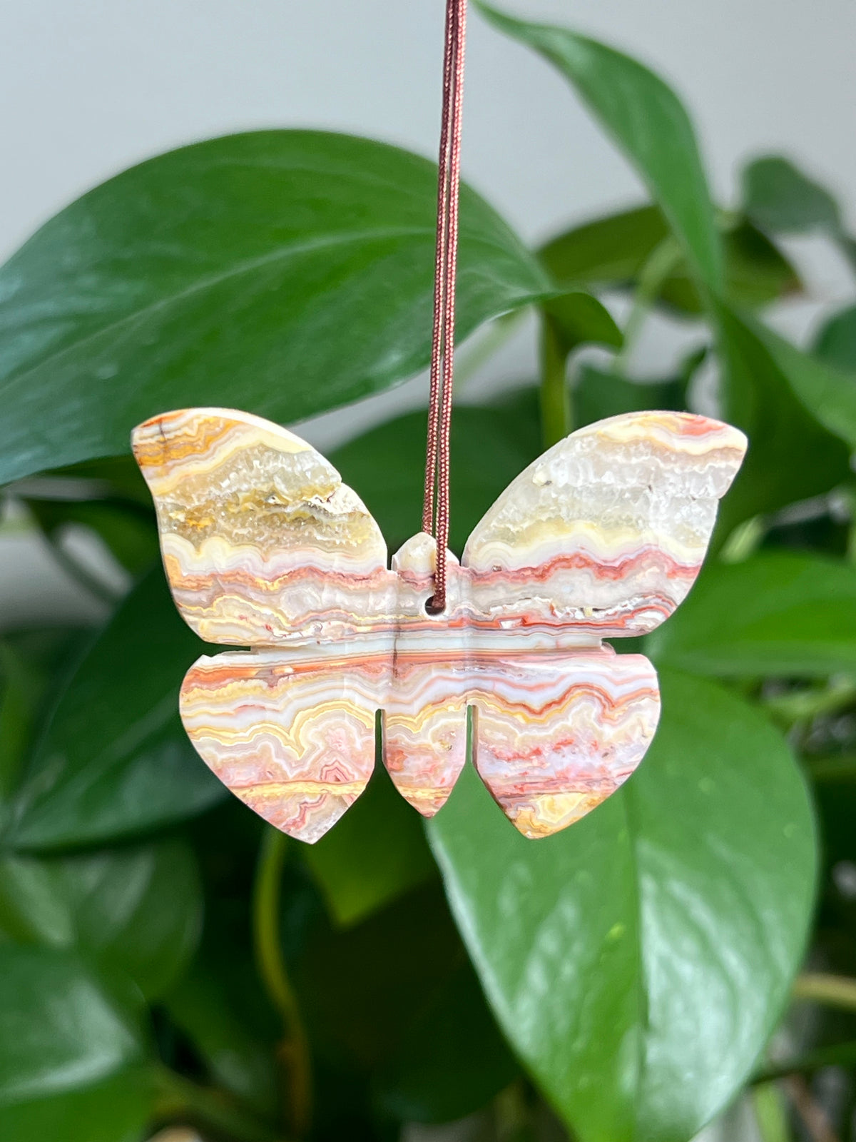 Crazy Lace Agate Ornament Butterfly:  BD