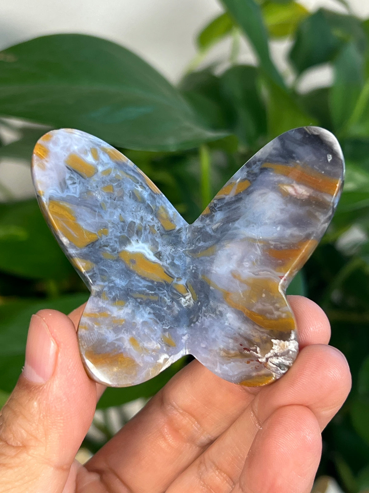 Milky River Jasper 3D Butterflies