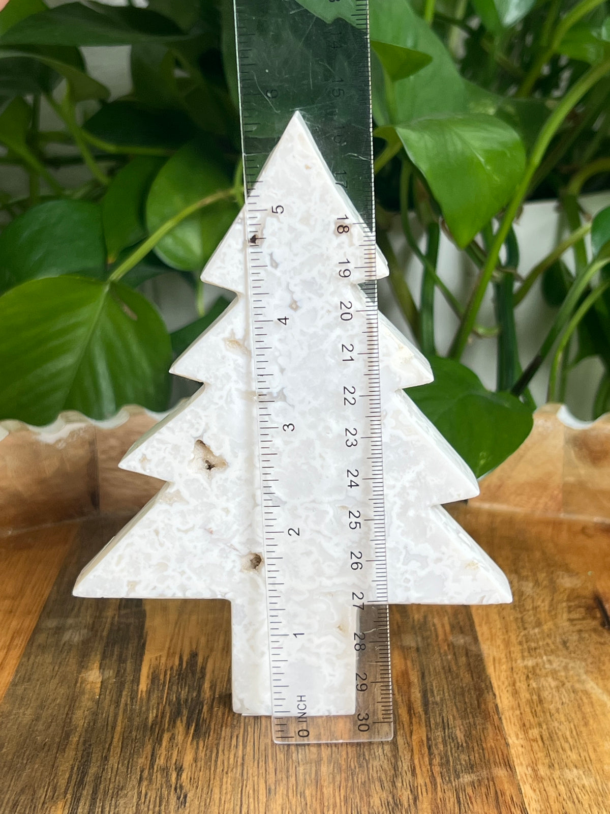White Plume Agate Tree: PS