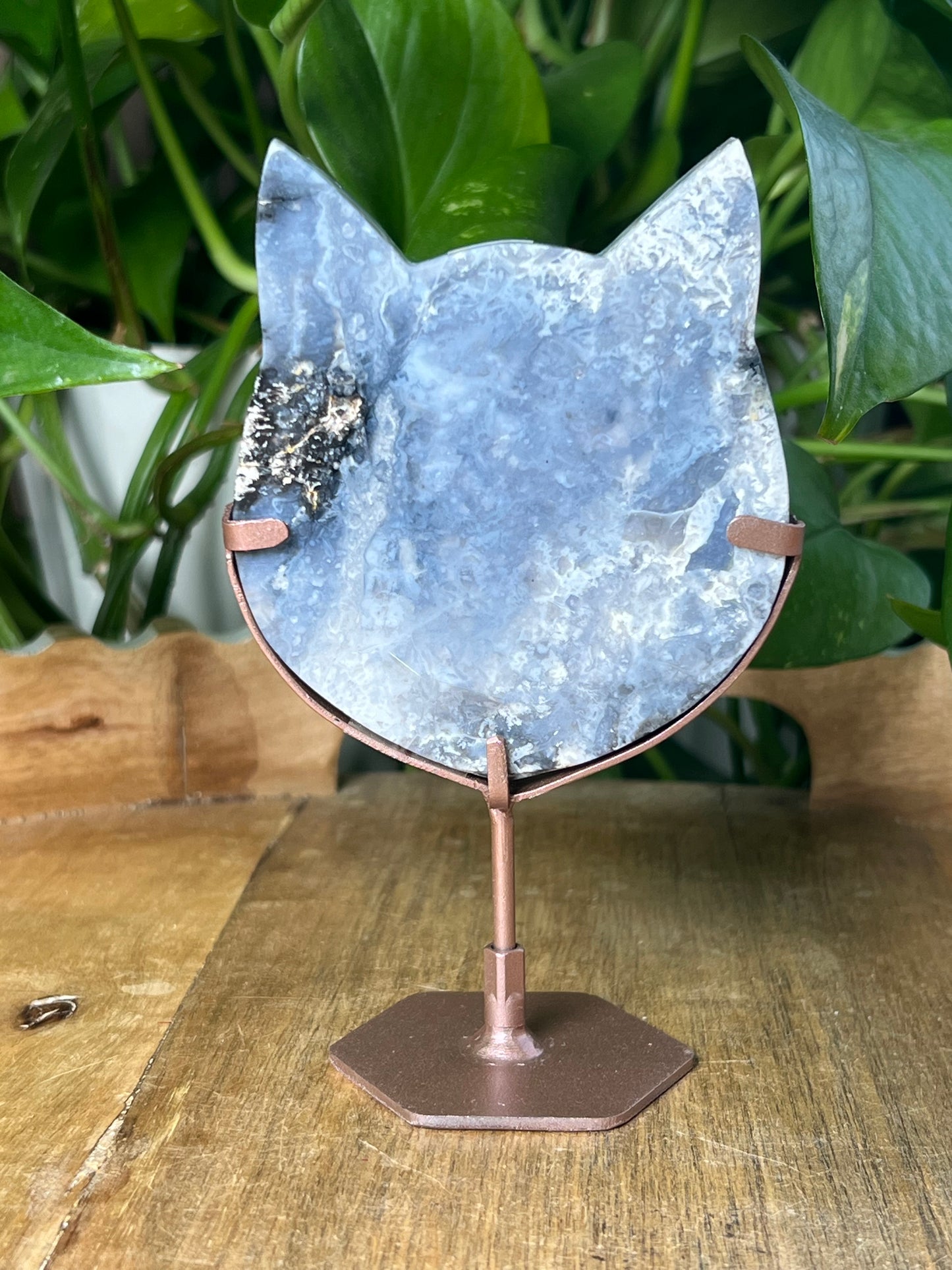 Blue Plume Agate Cat