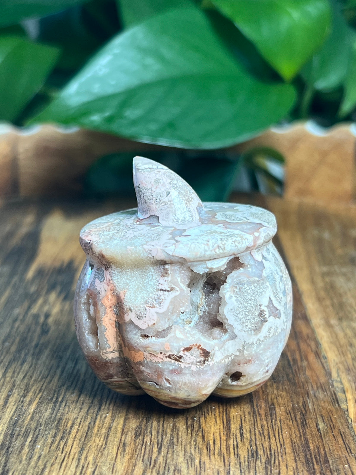Crazy Lace Agate Pumpkin: A