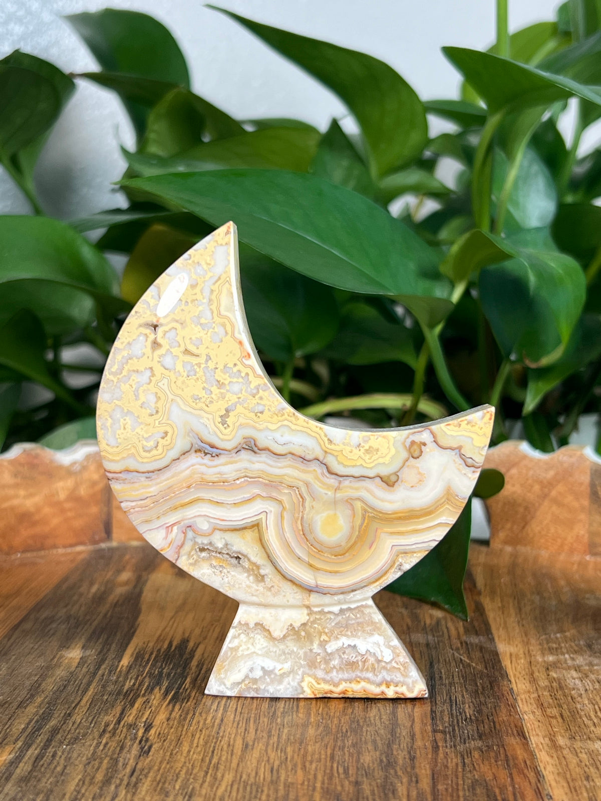 Yellow Crazy Lace Agate Self Standing Moons