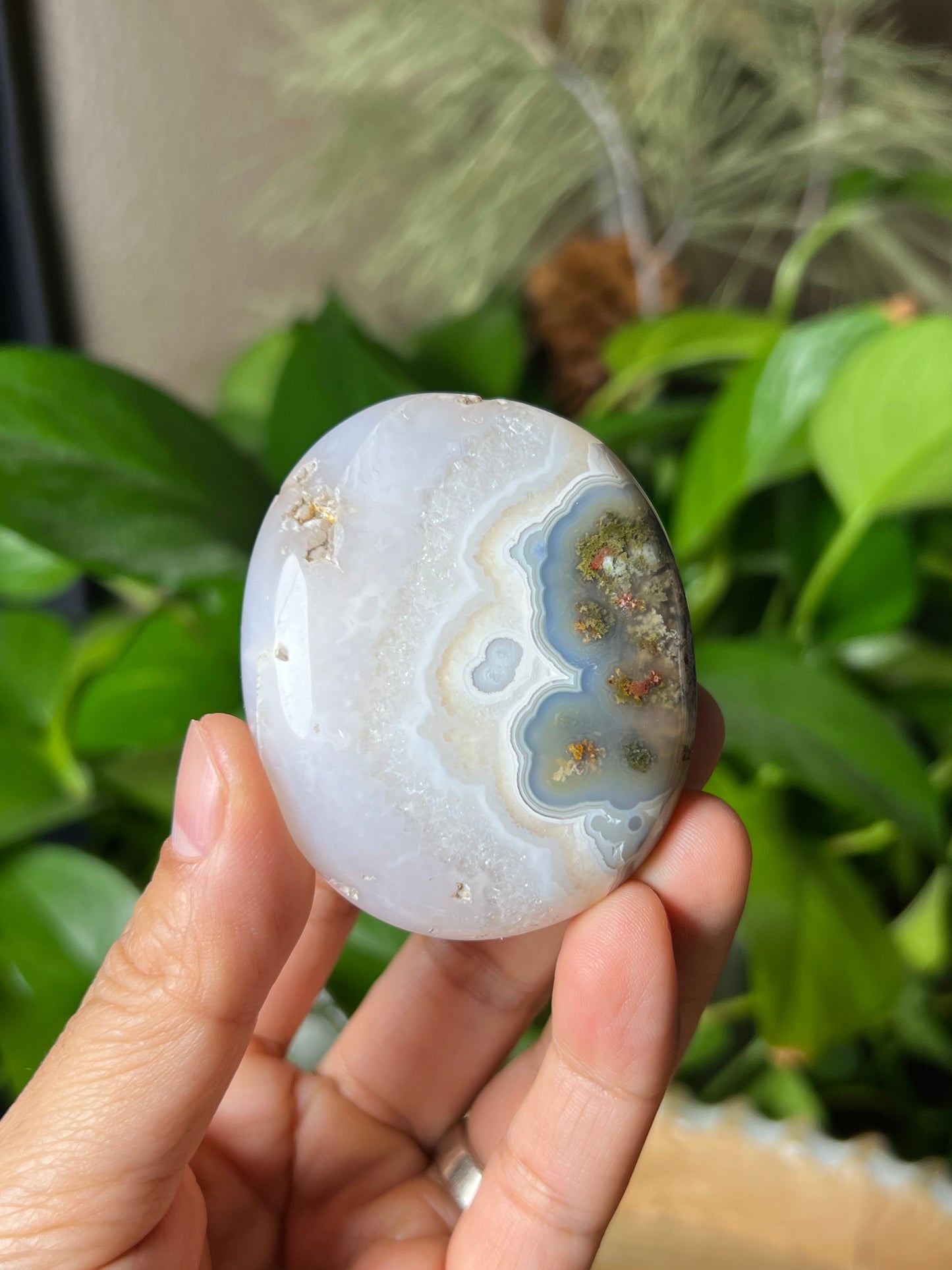 Scenic Moss Agate Palmstone