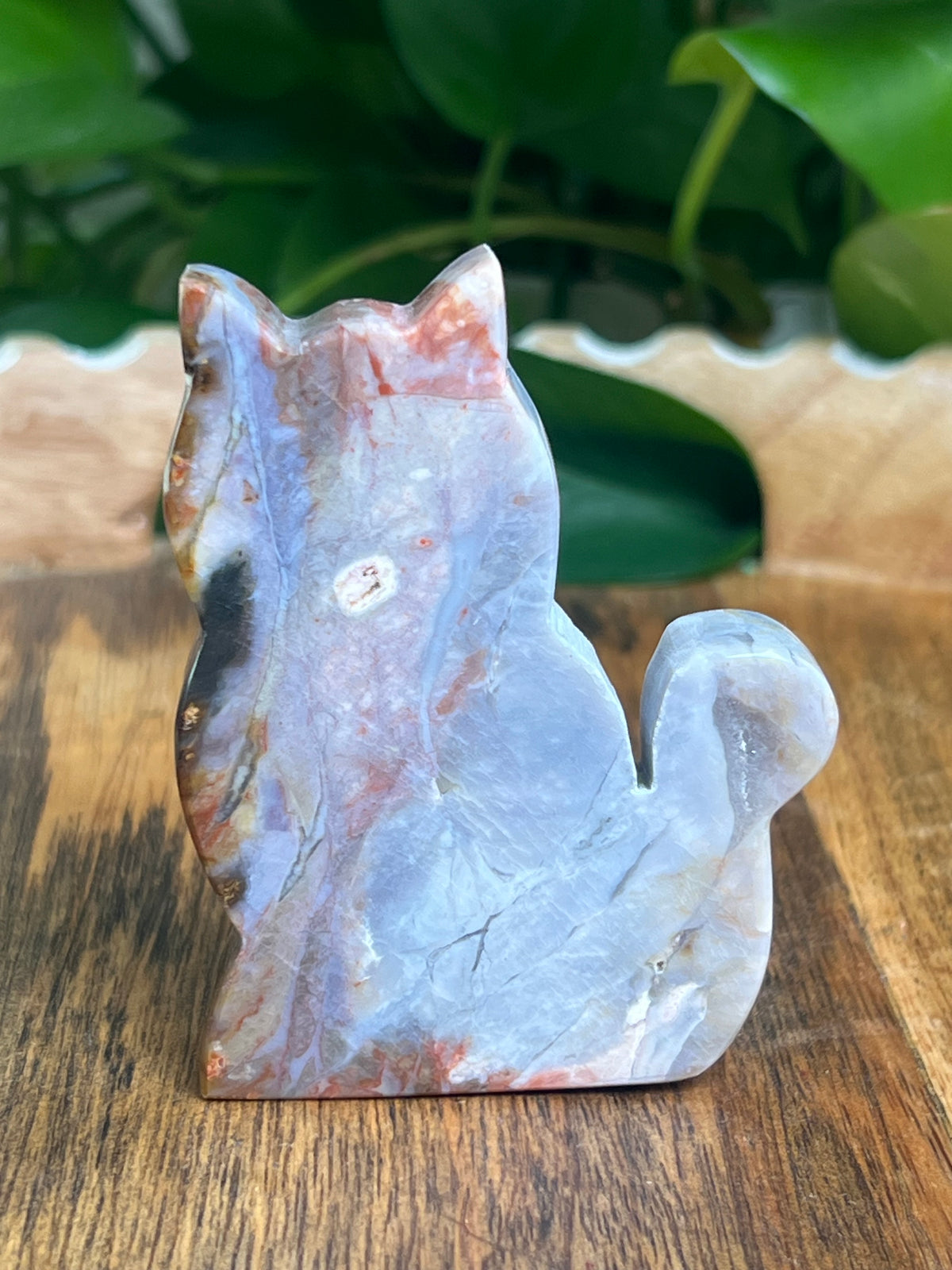 River Jasper Cat: BB