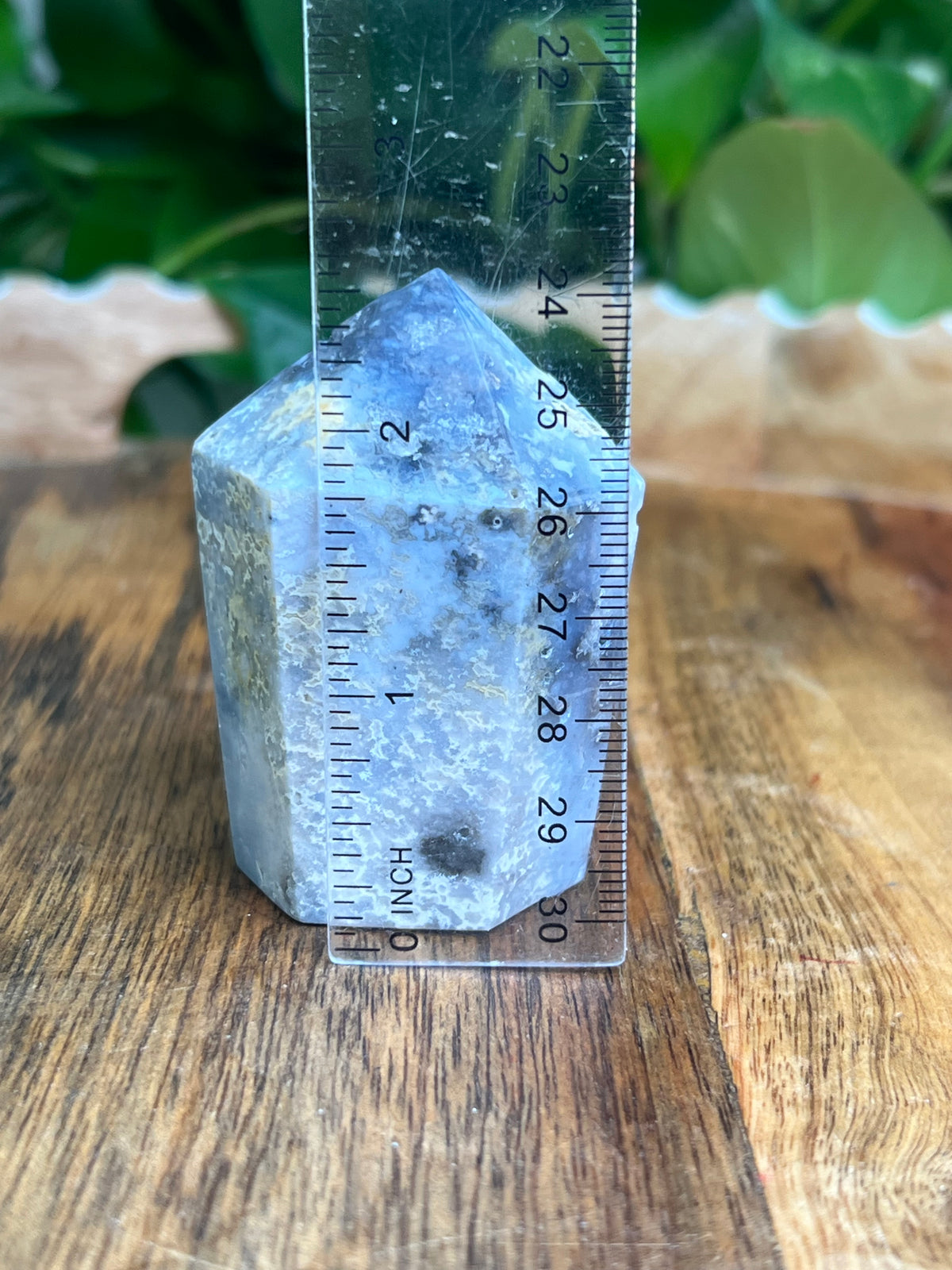 Blue Plume Agate Cupcake: EJ